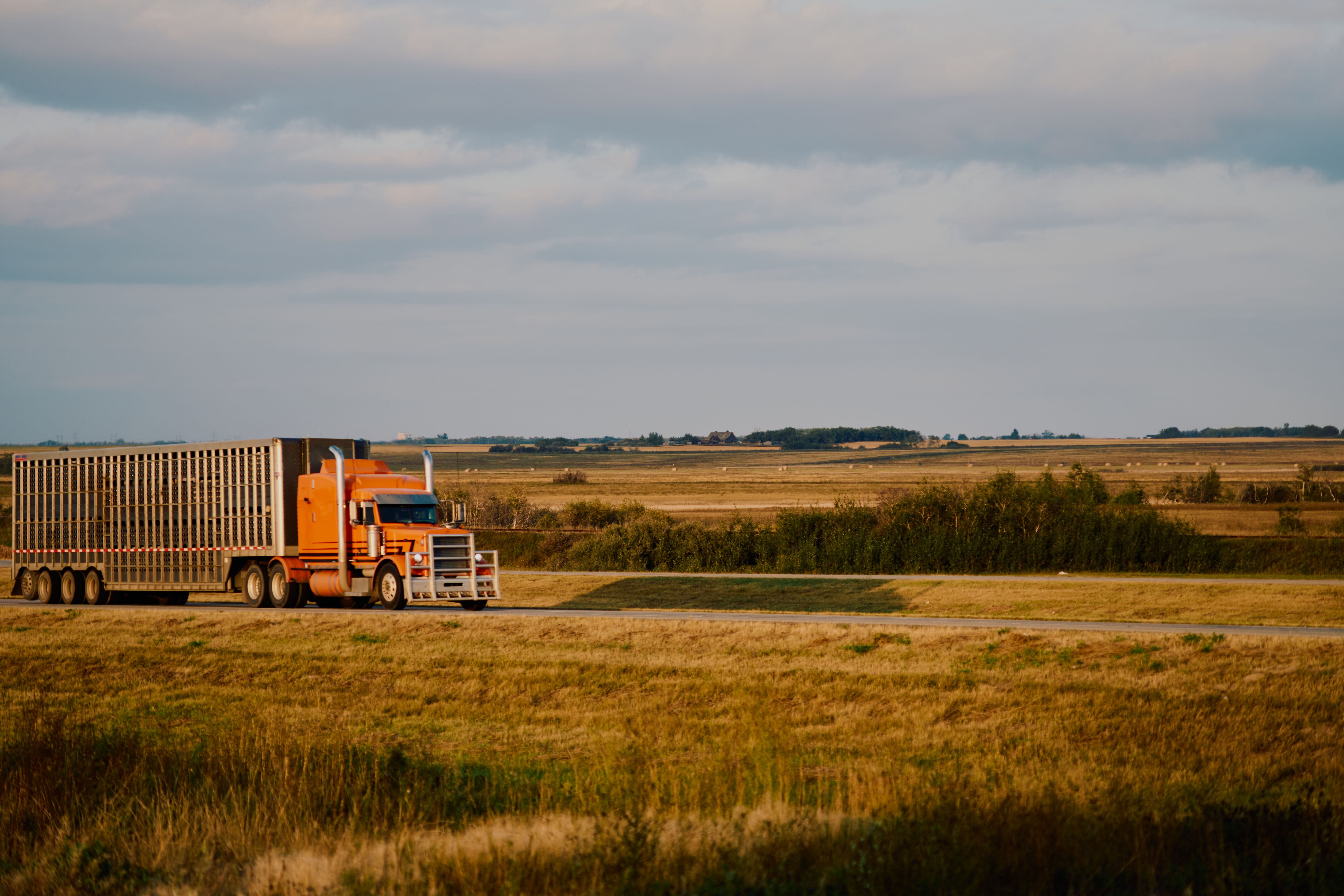 saskatchewan landscape