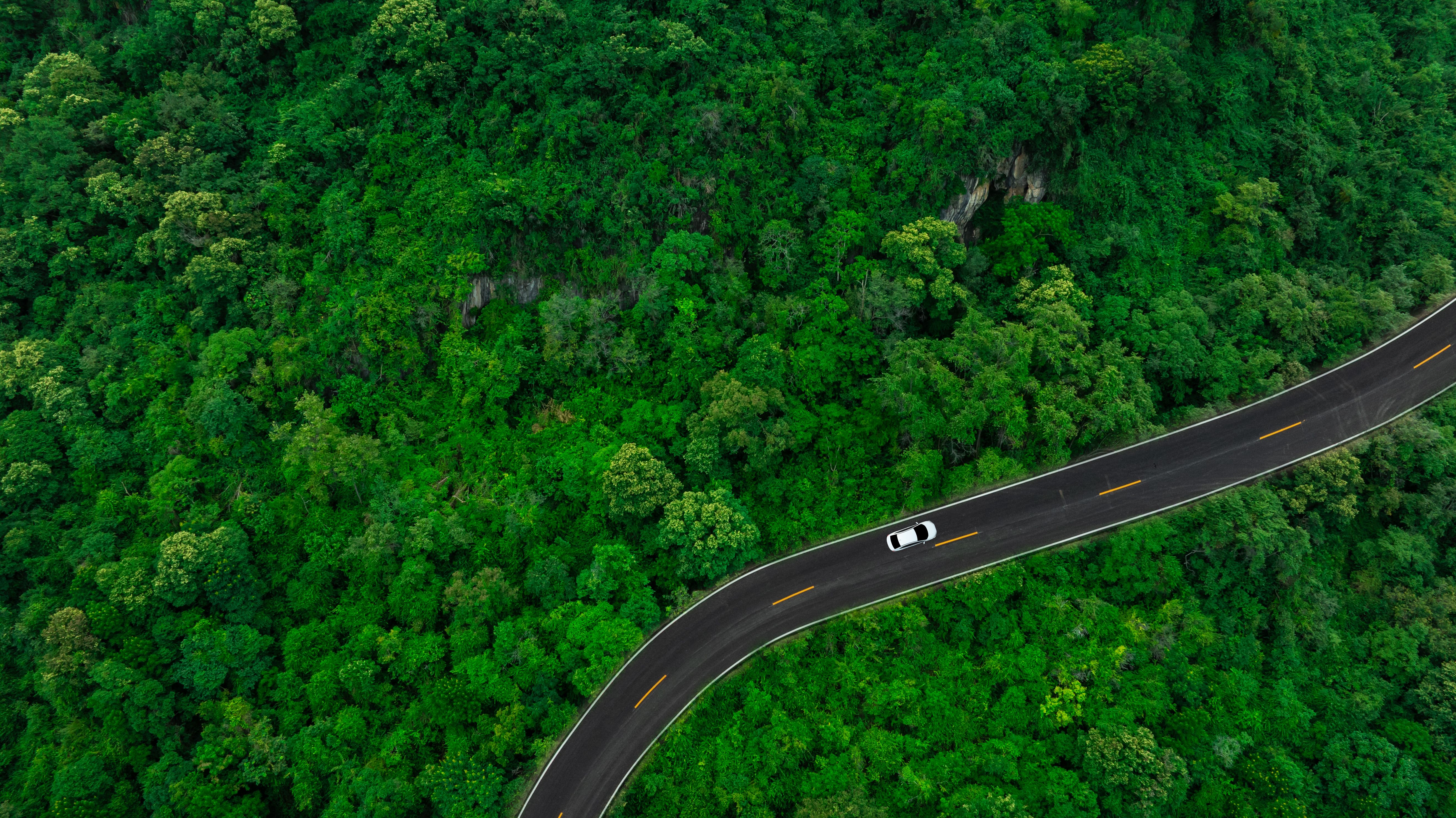 electric vehicle development