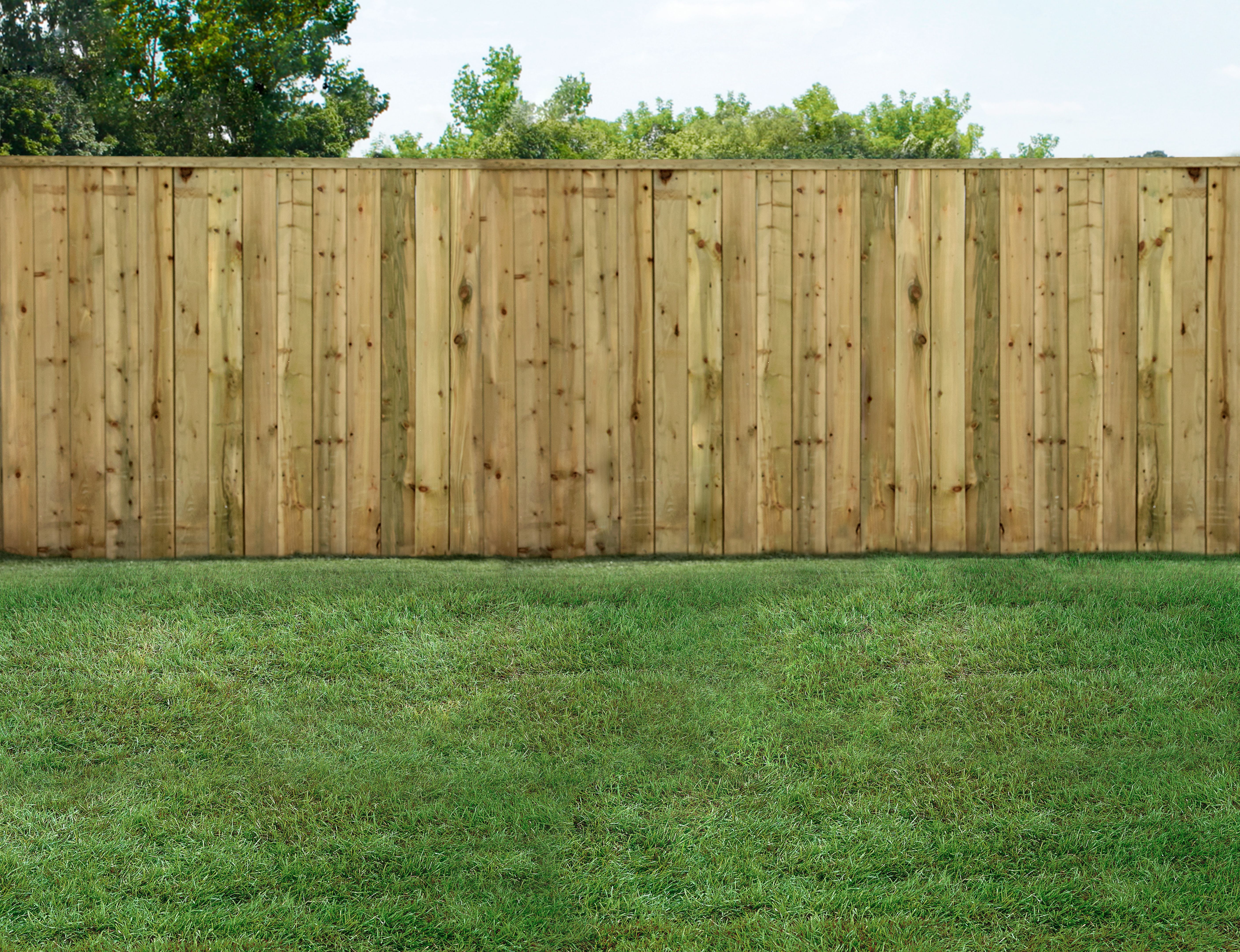 backyard fence