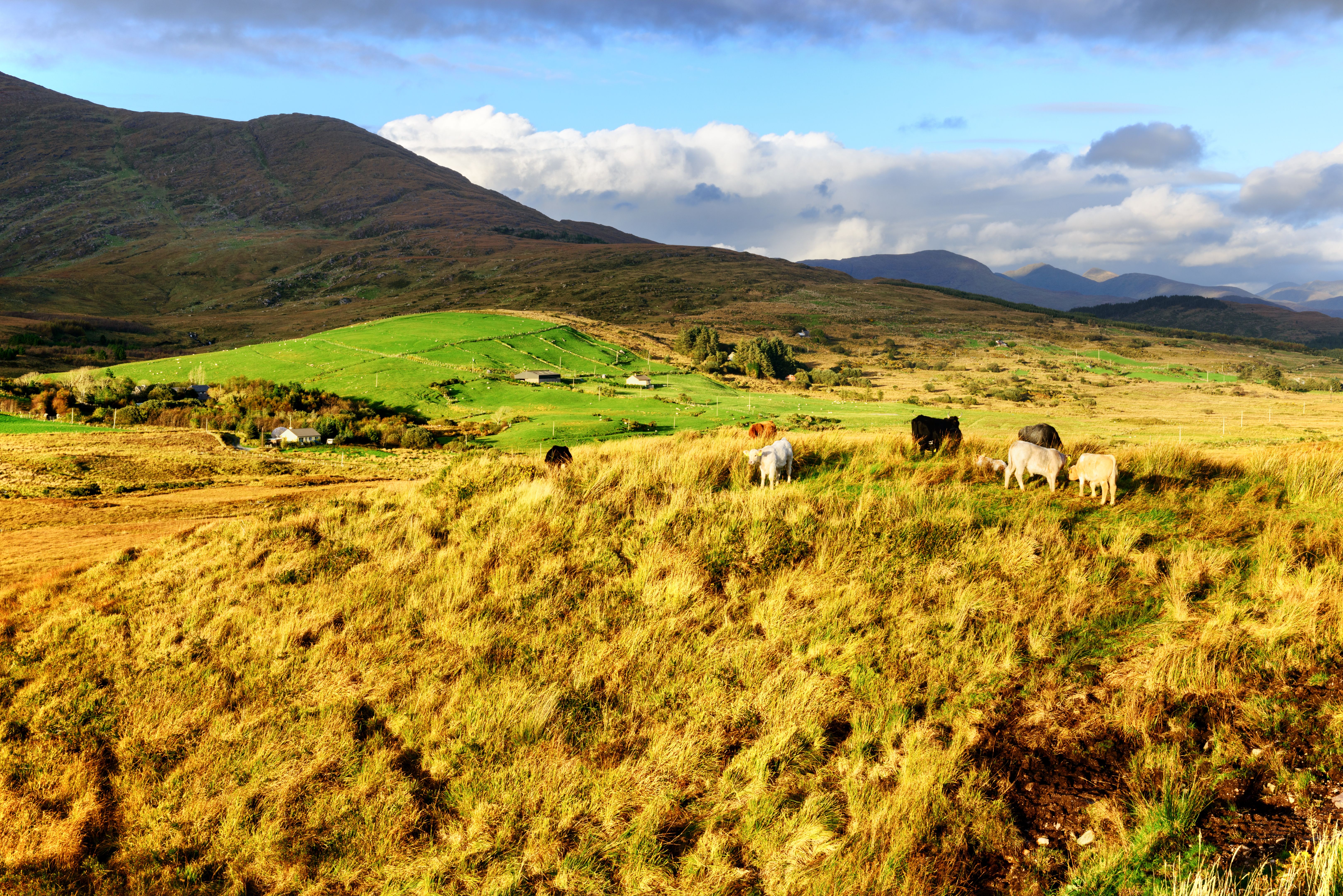 Farmland in County Kerry, Ireland Farmland in County Kerry, Ireland