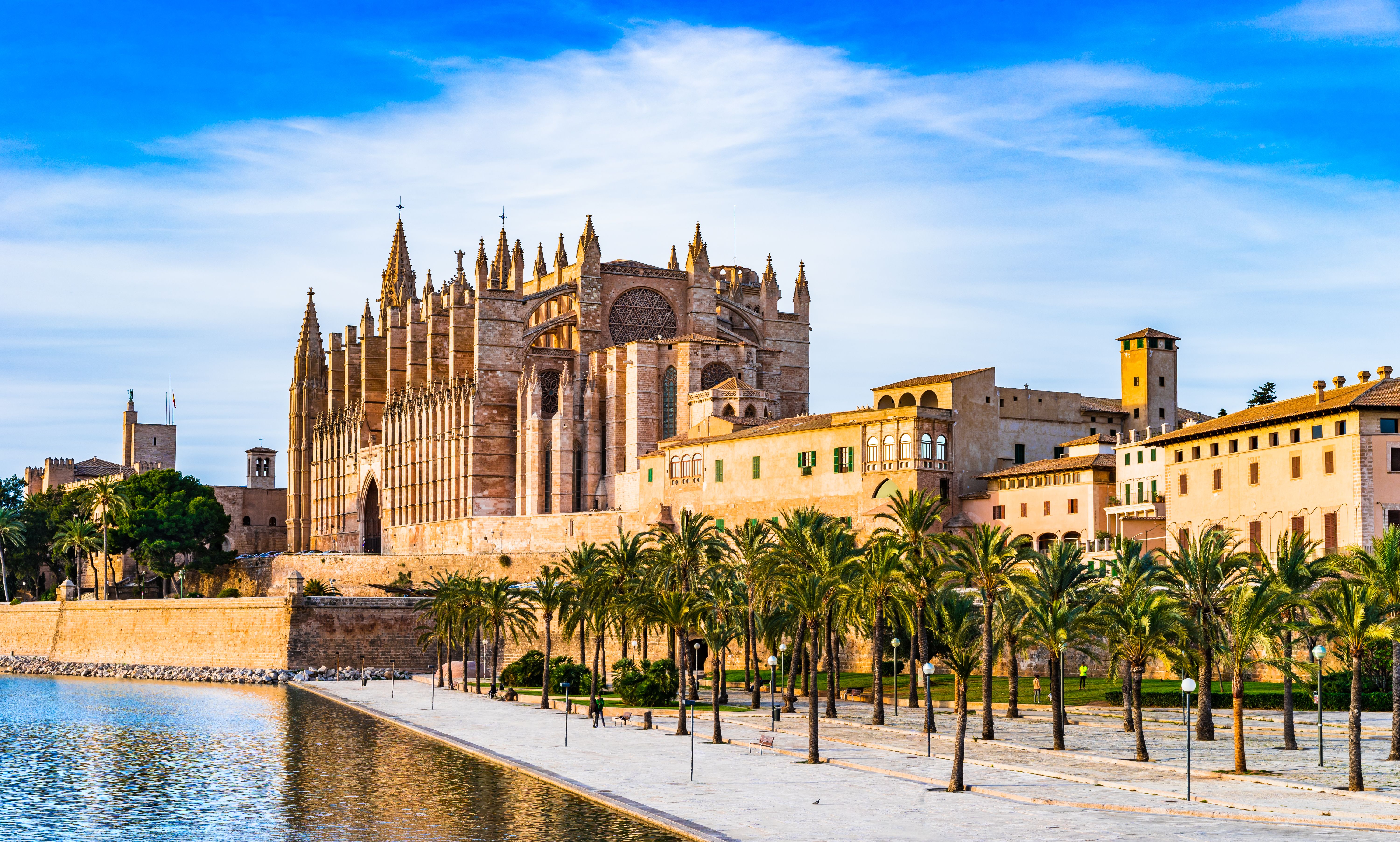 palma cathedral