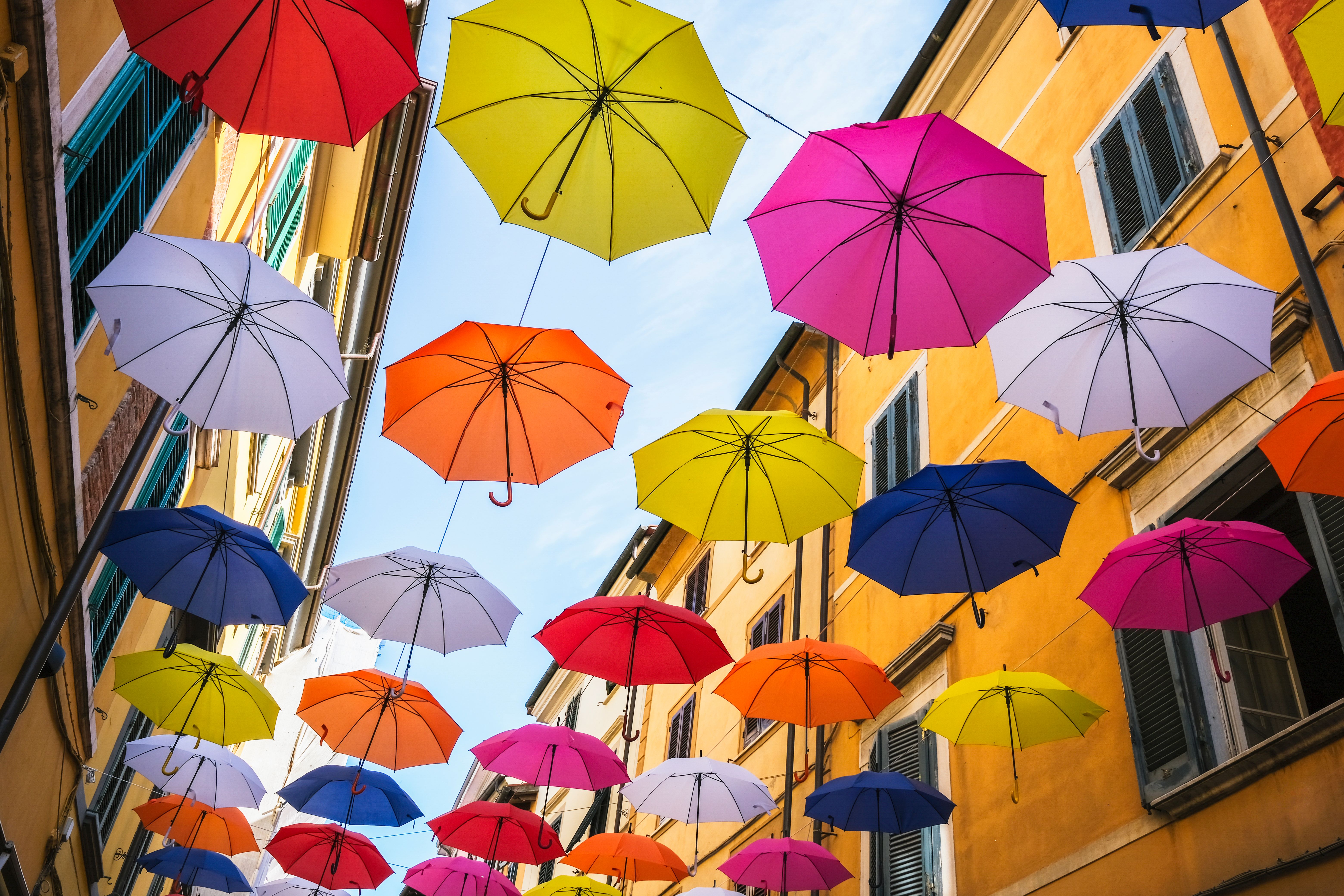 umbrella street