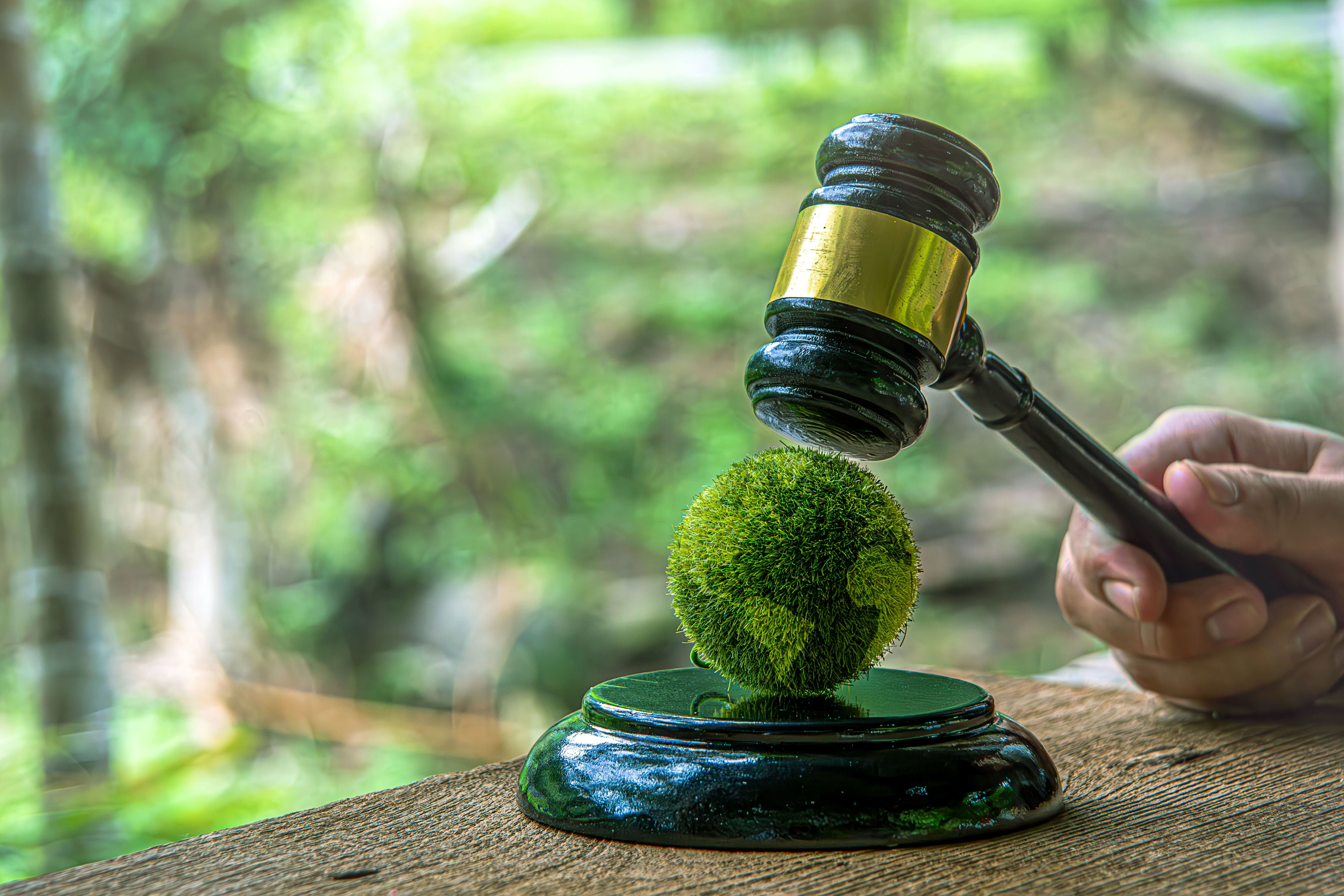 autoridad ambiental