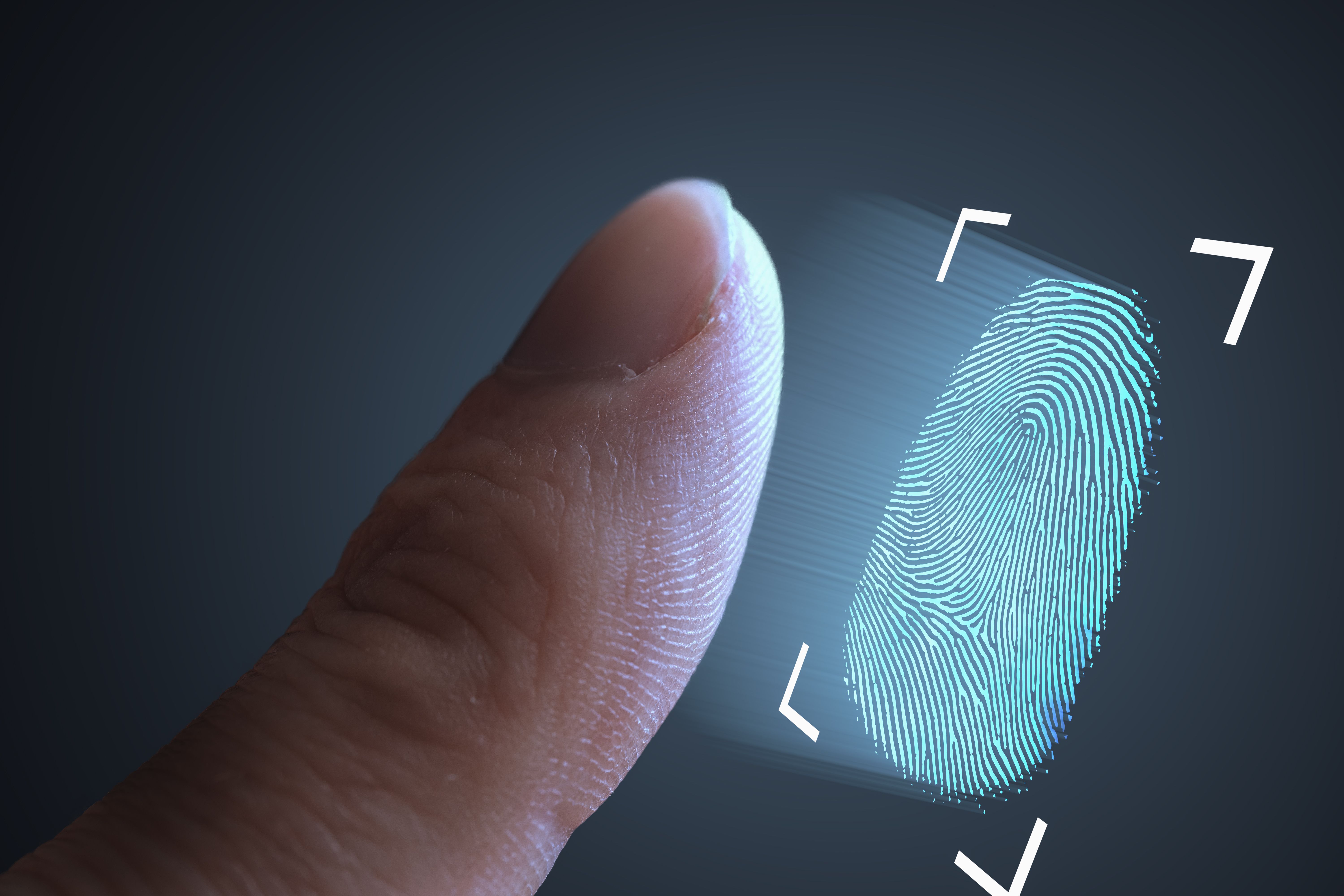 fingerprint scanning