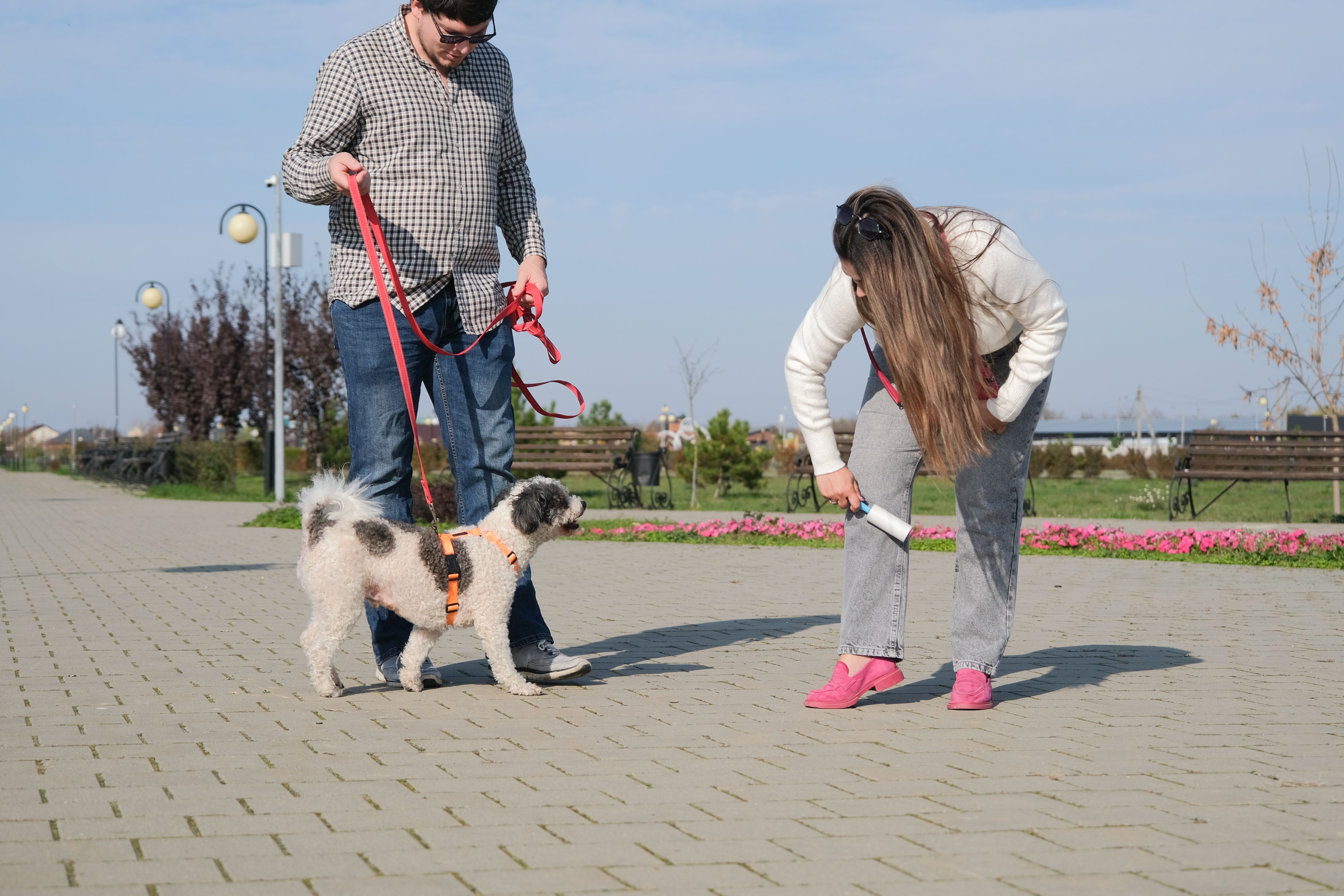 dog behavior correction