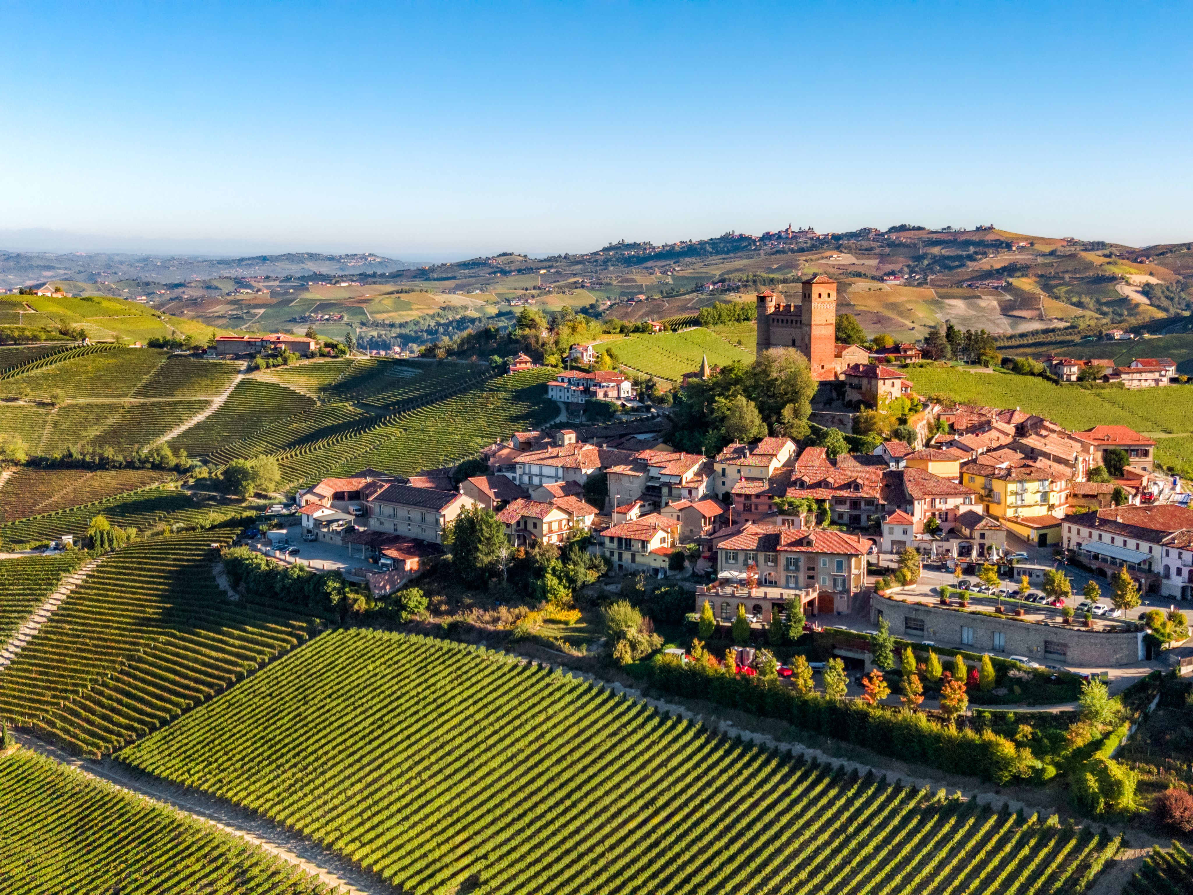 Serralunga d'Alba vineyards, Italian medieval town from drone