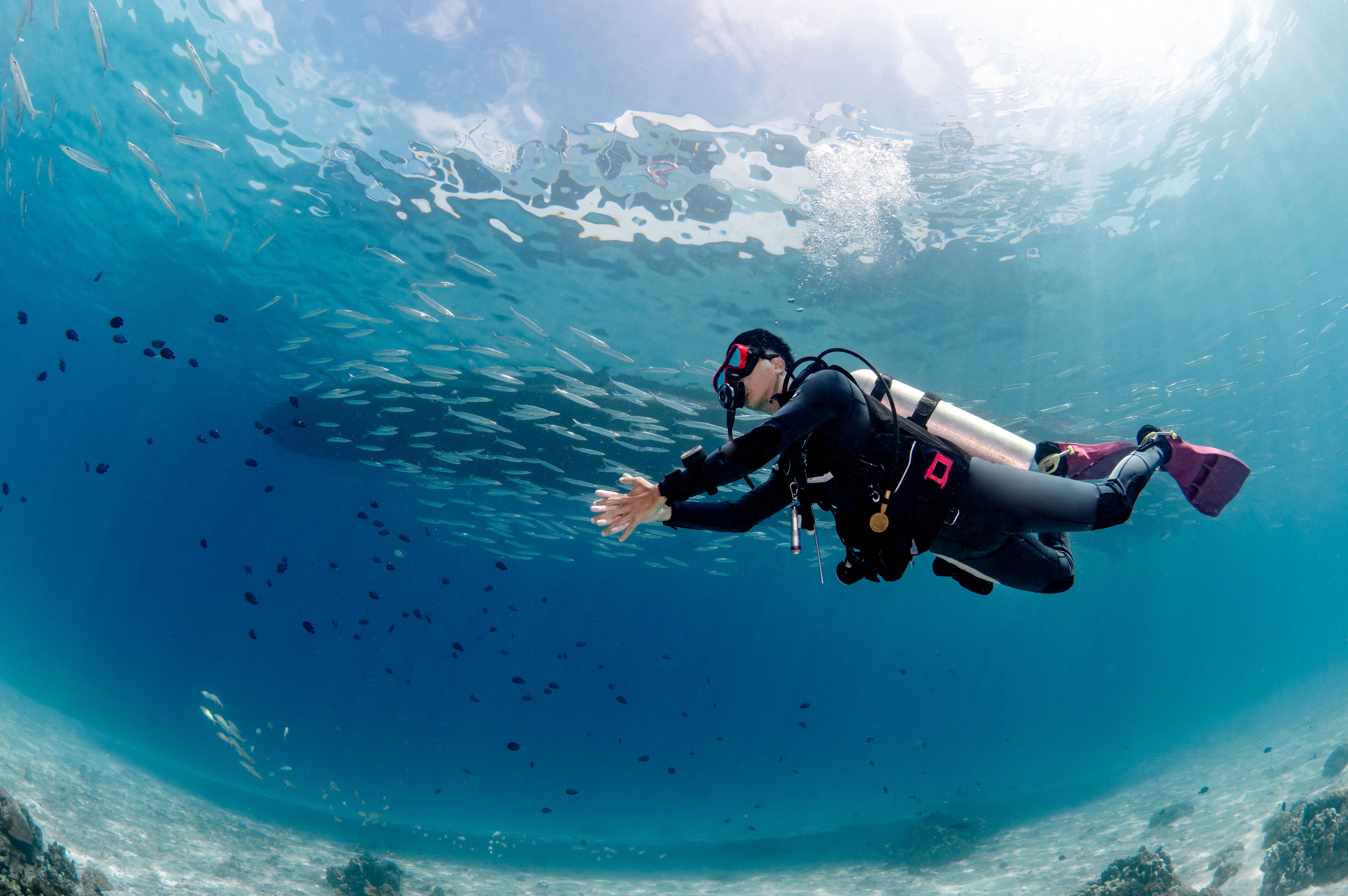 scuba diving
