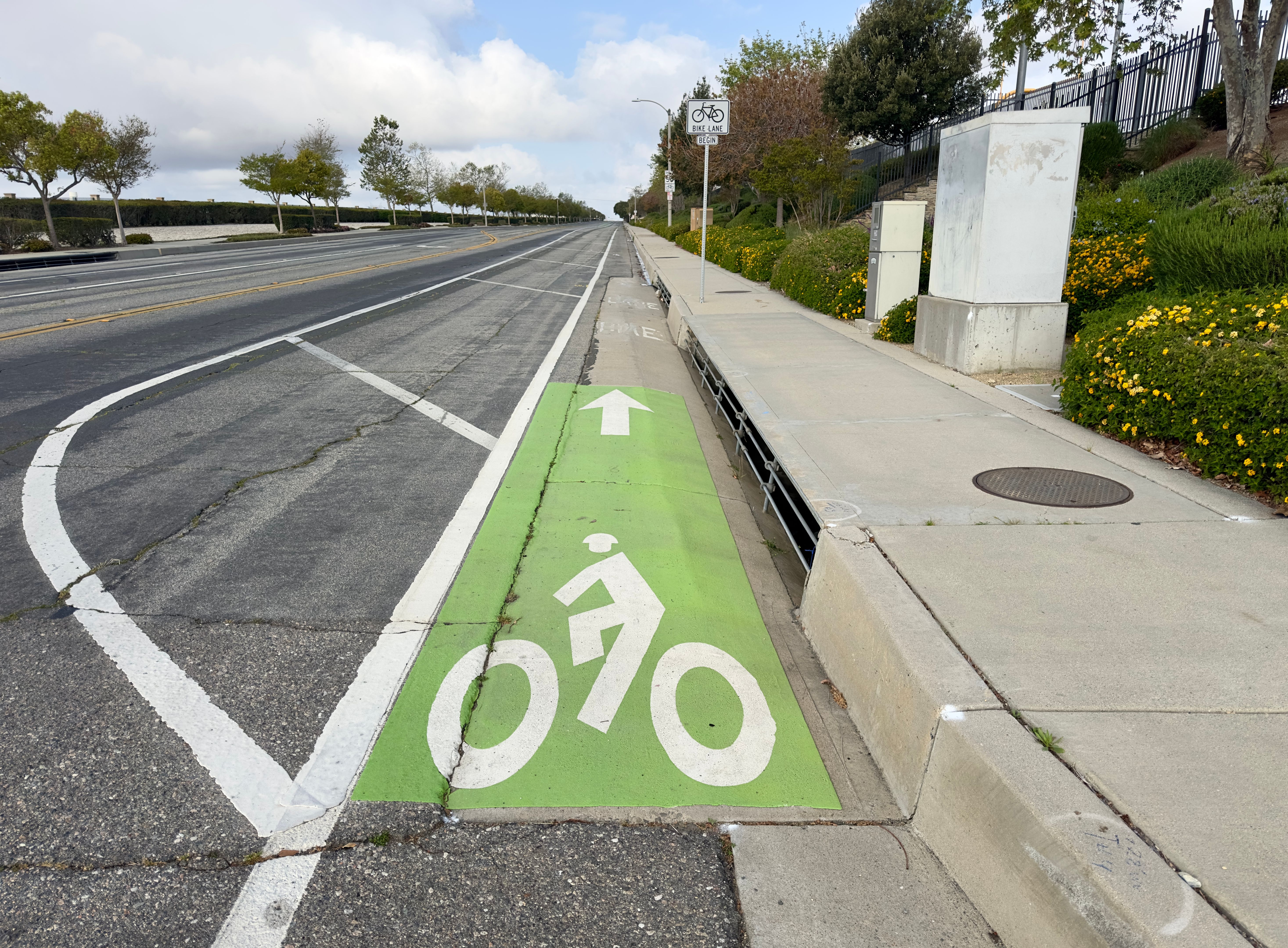 urban bike lanes