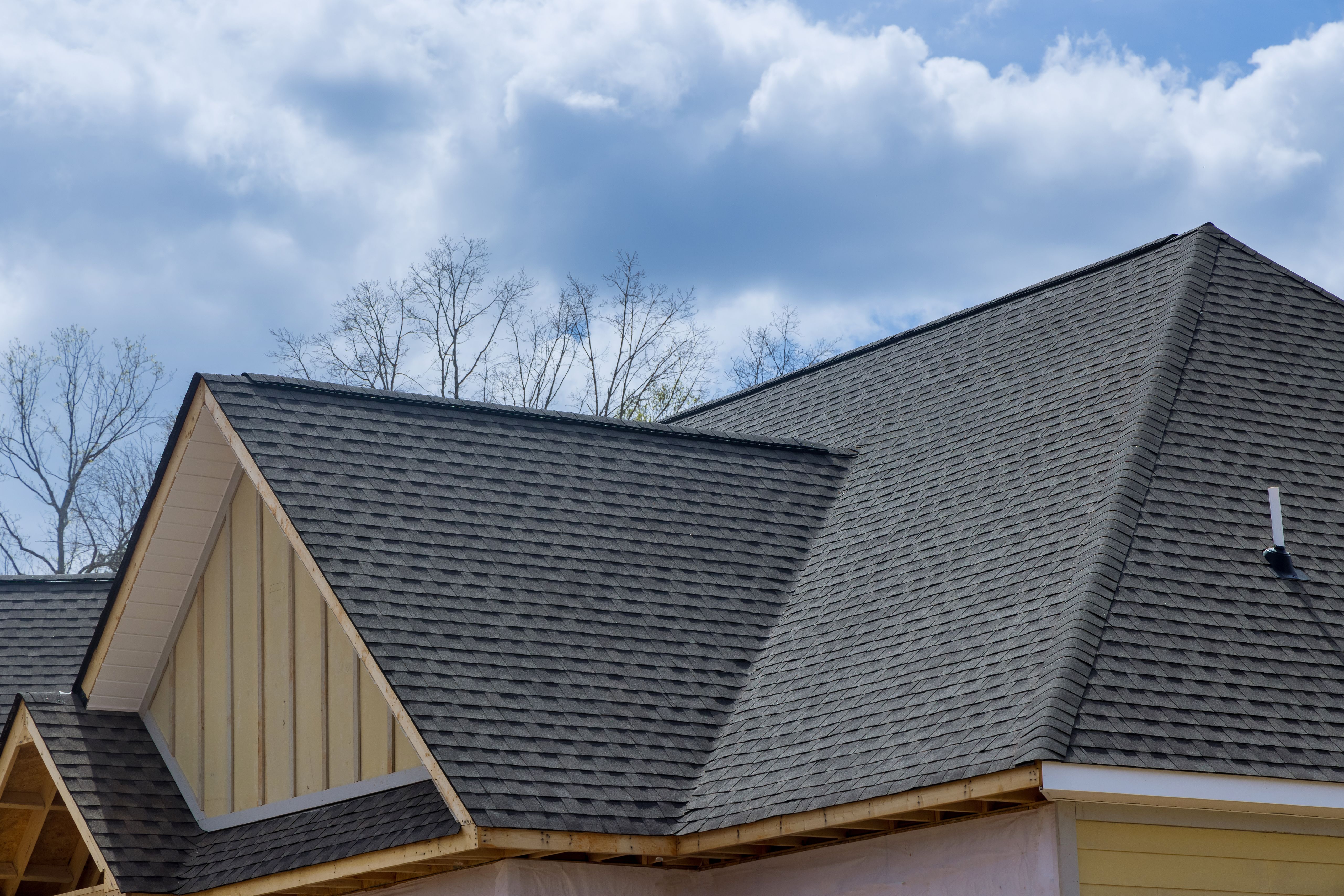 asphalt shingles
