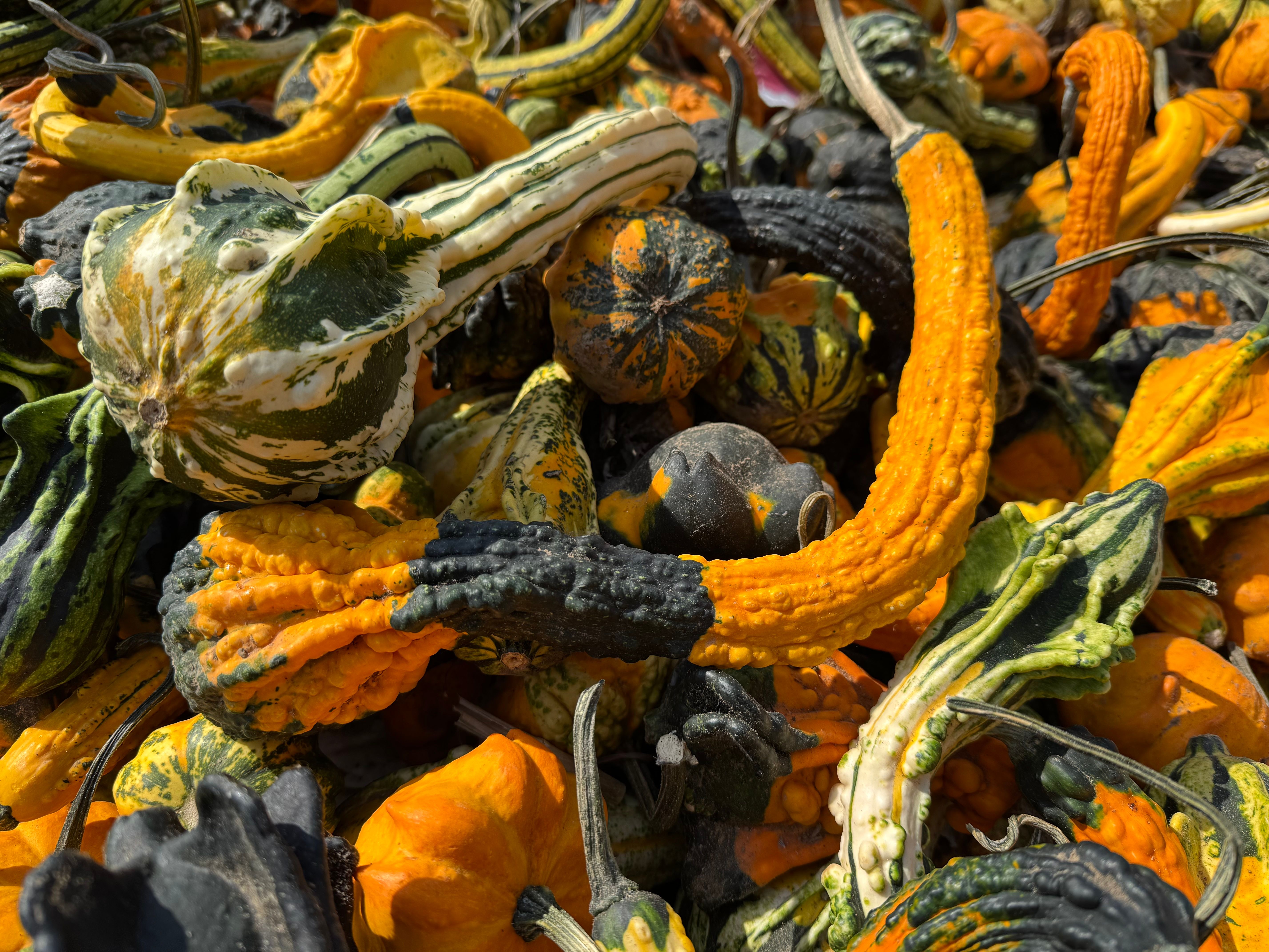 composition photography