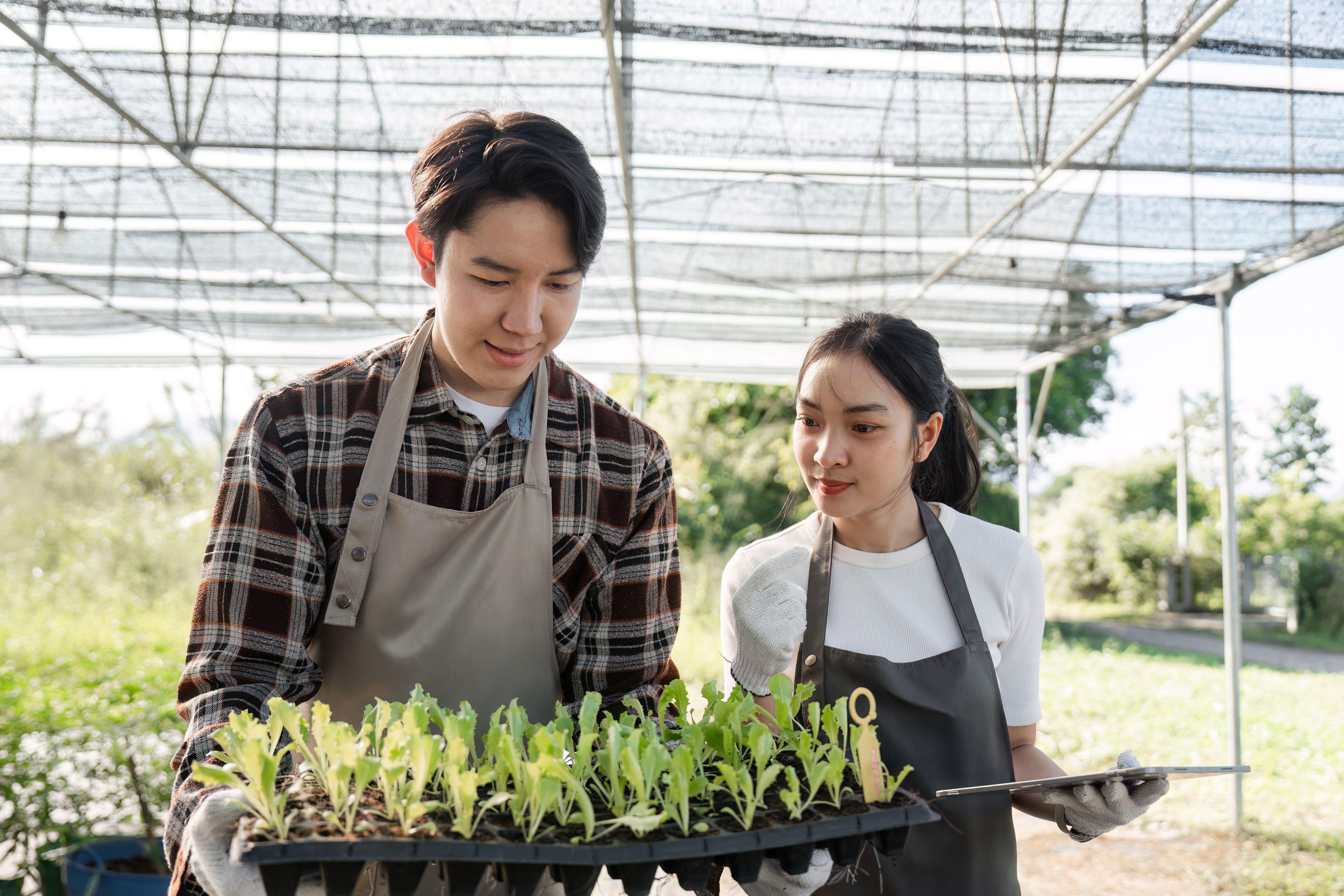 cannabis business meeting