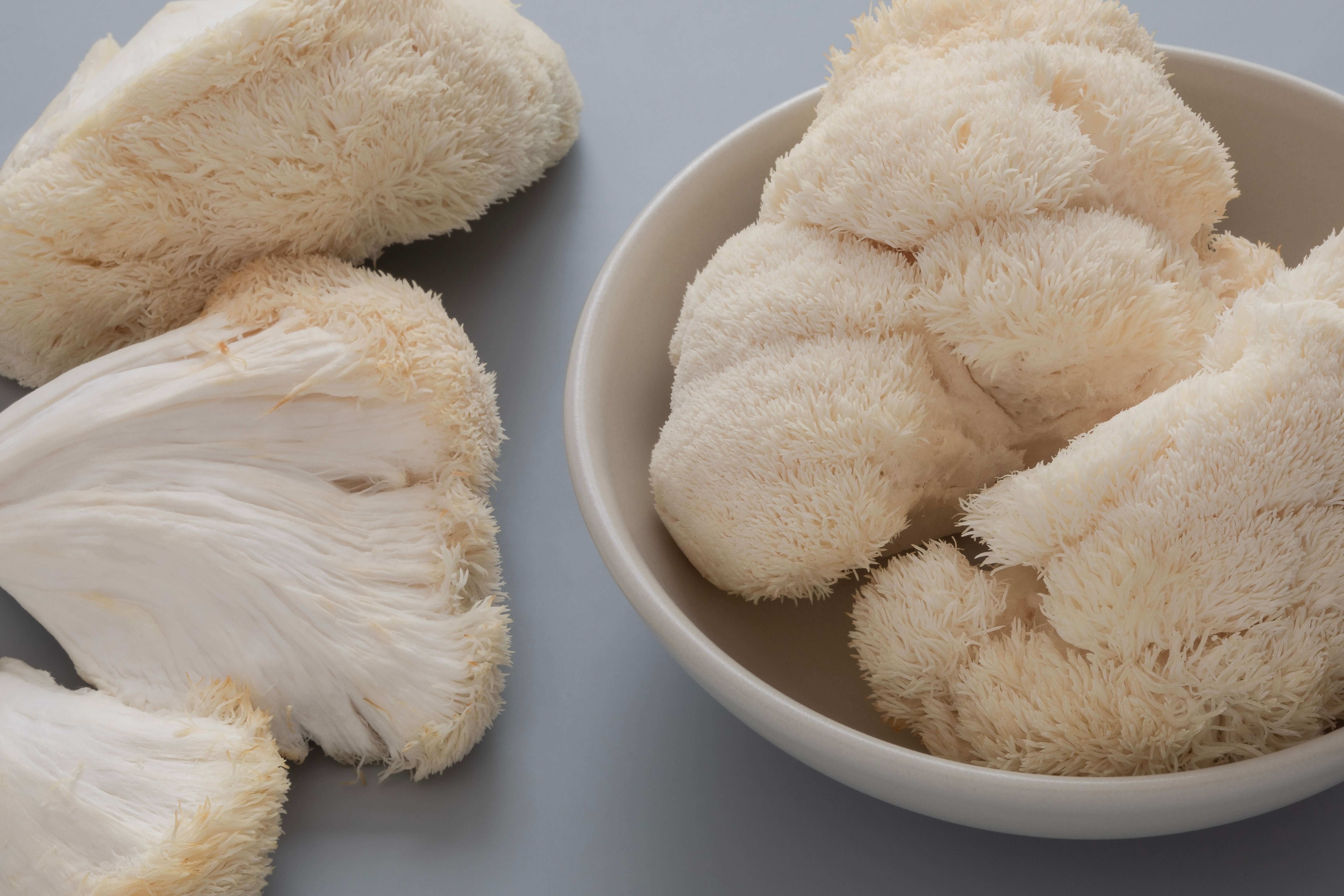 brain health mushrooms