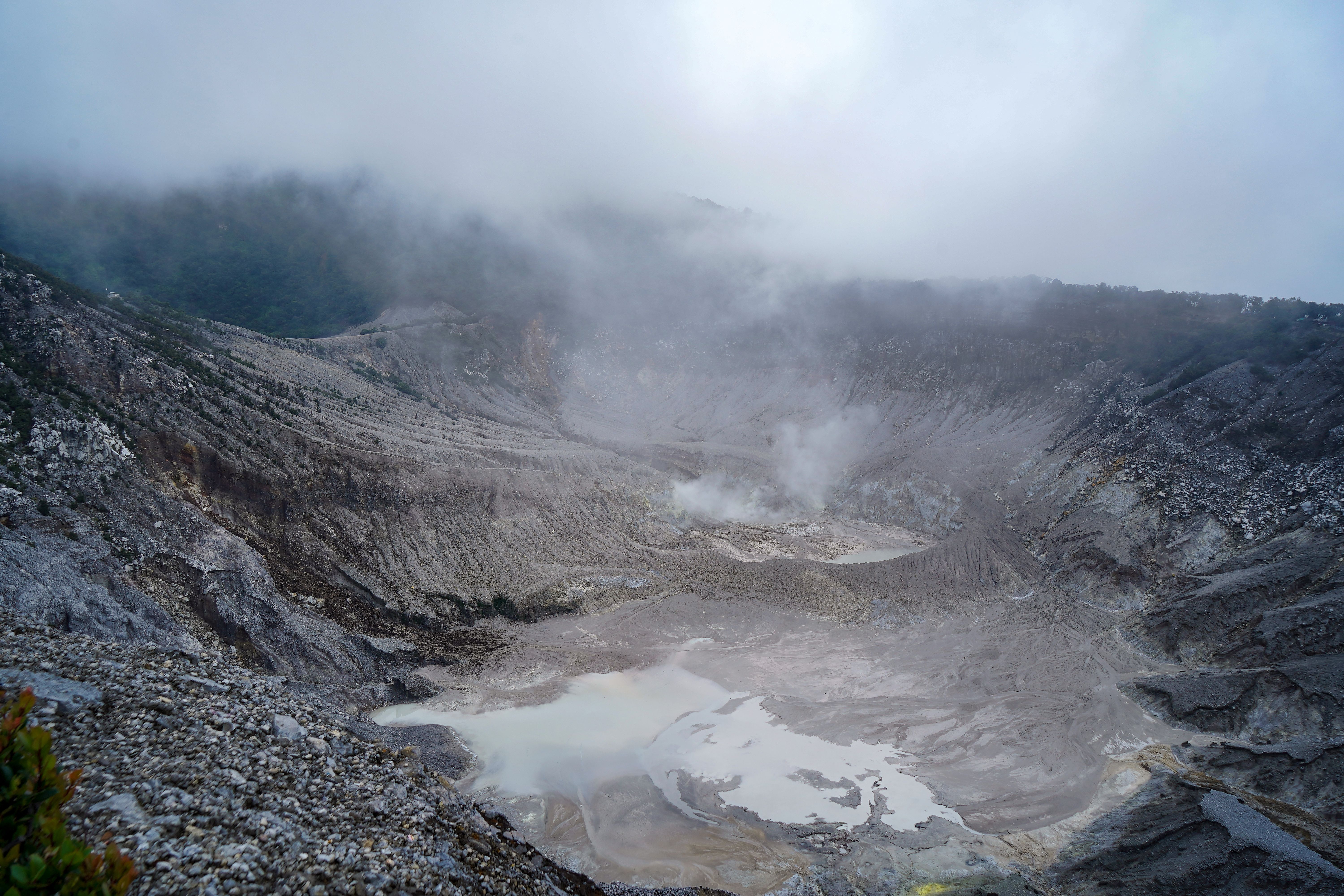 volcanic gases