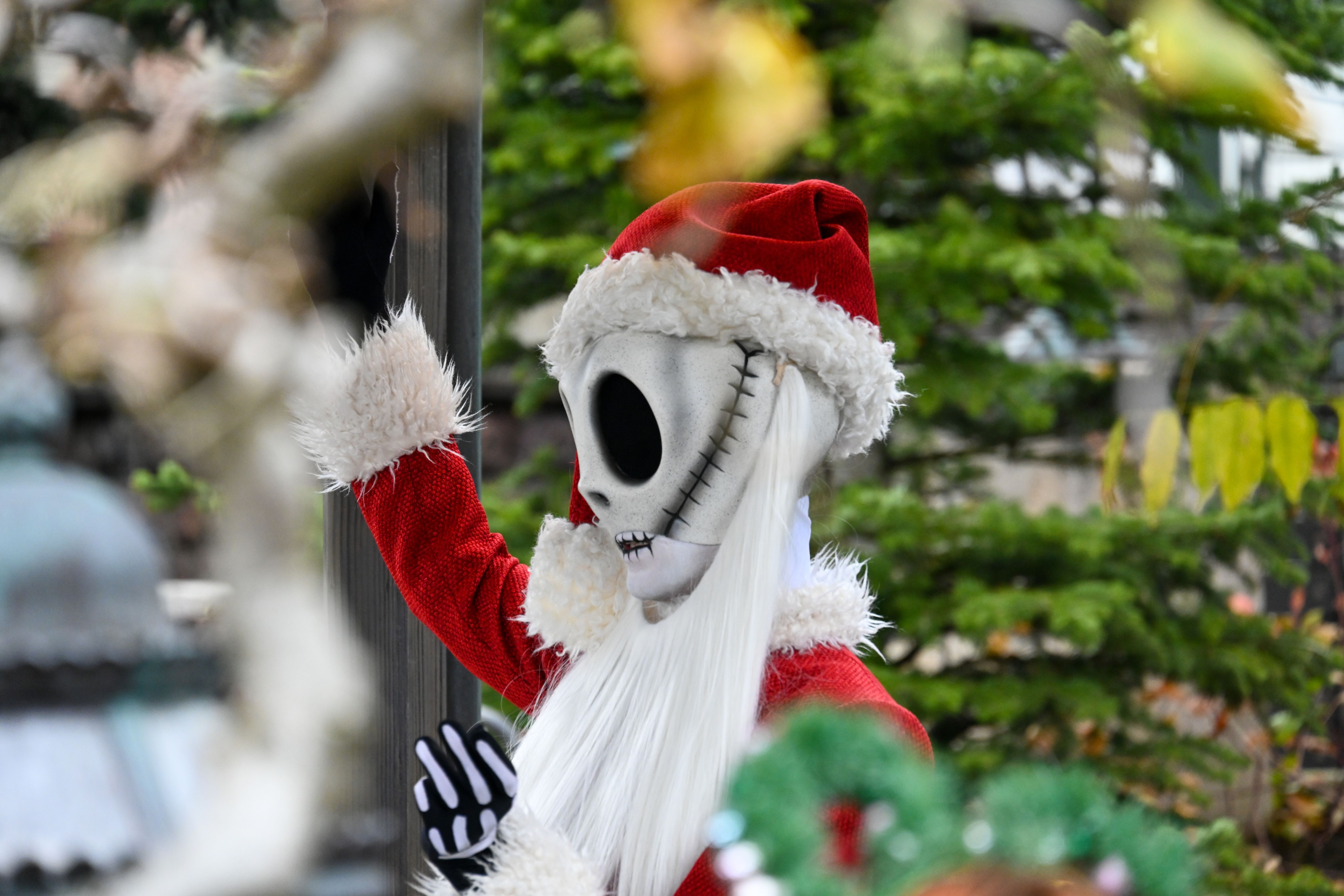 disneyland holidays