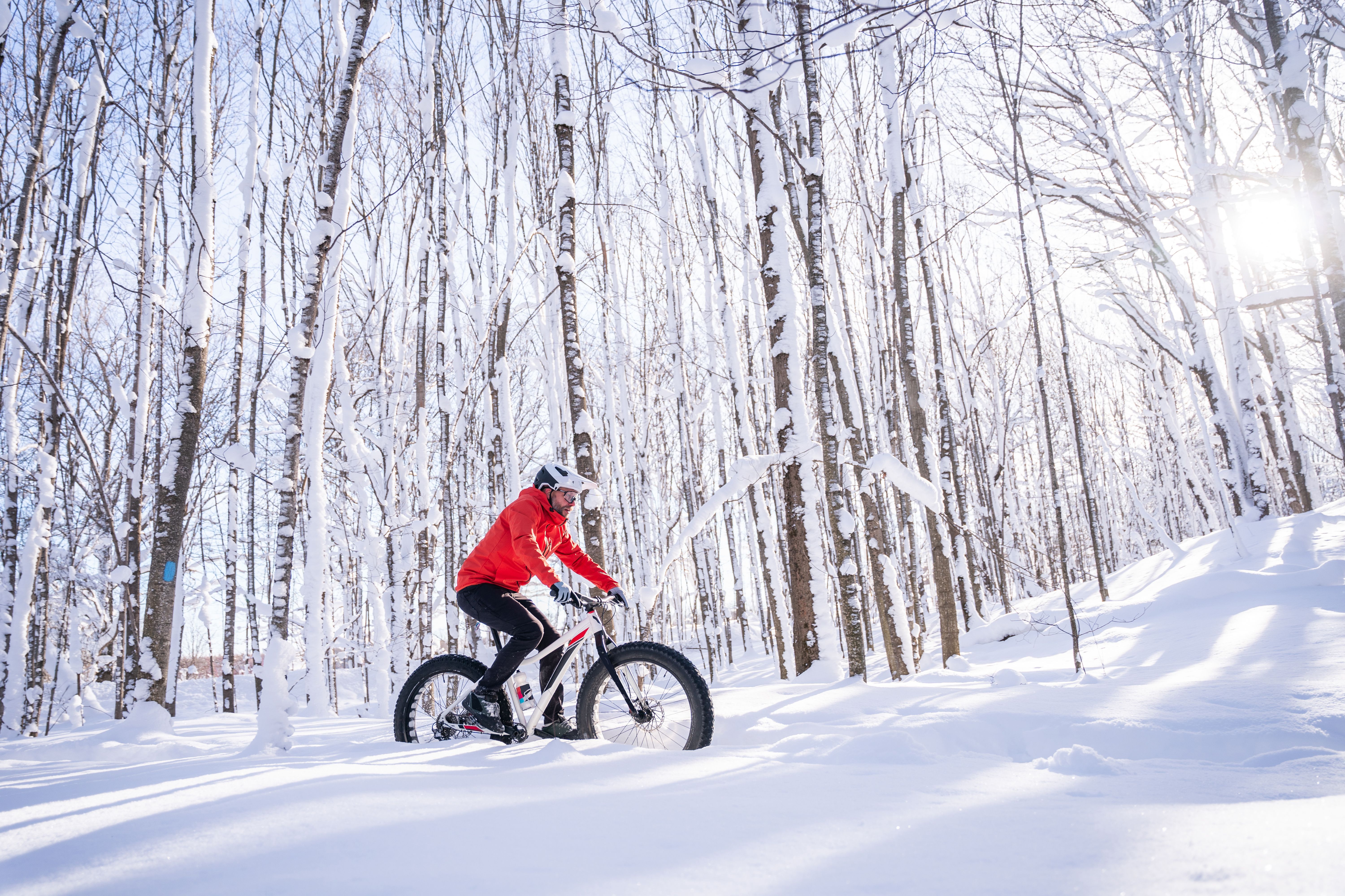 Winter Fat biker