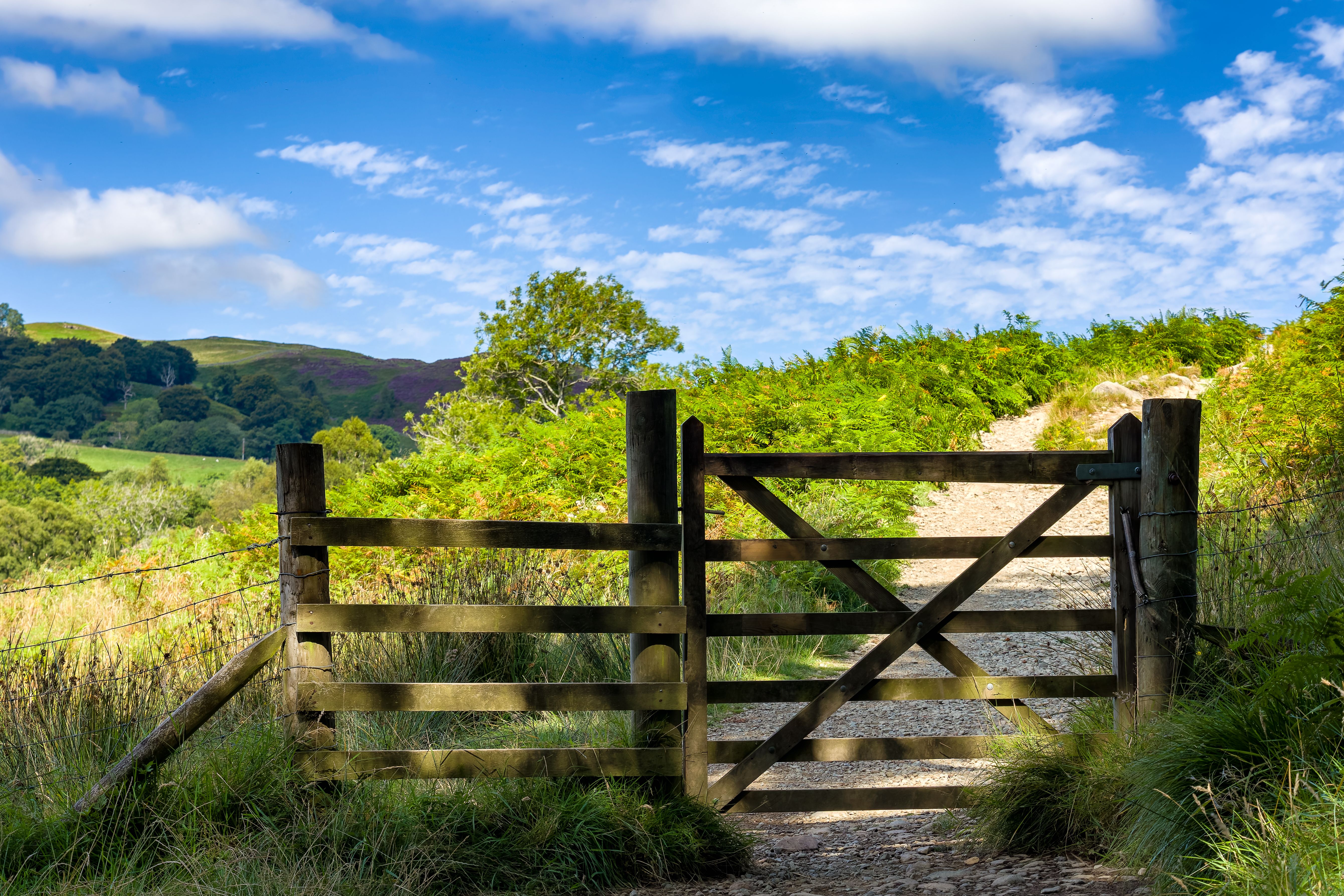 wooden gate