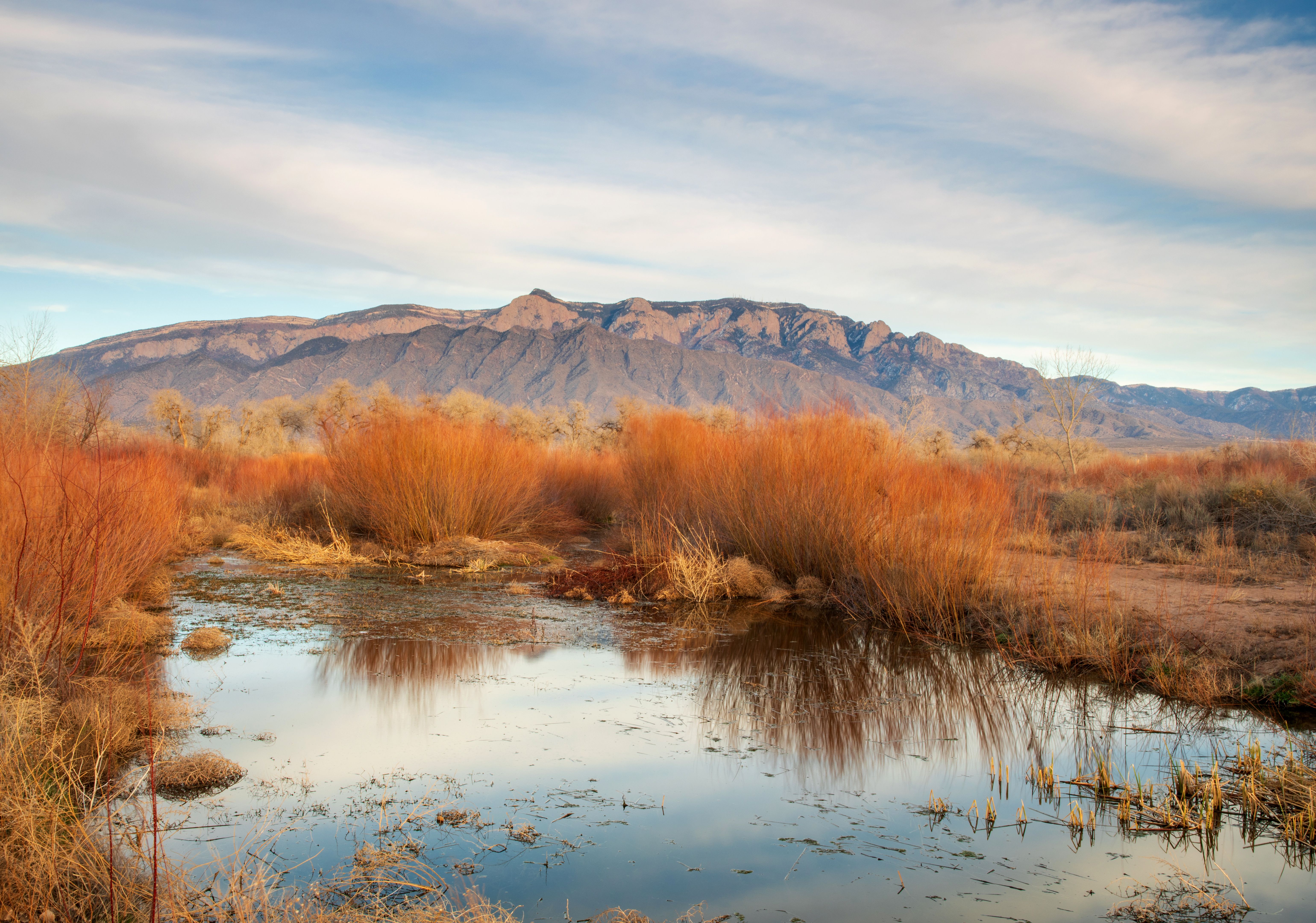 new mexico landscape