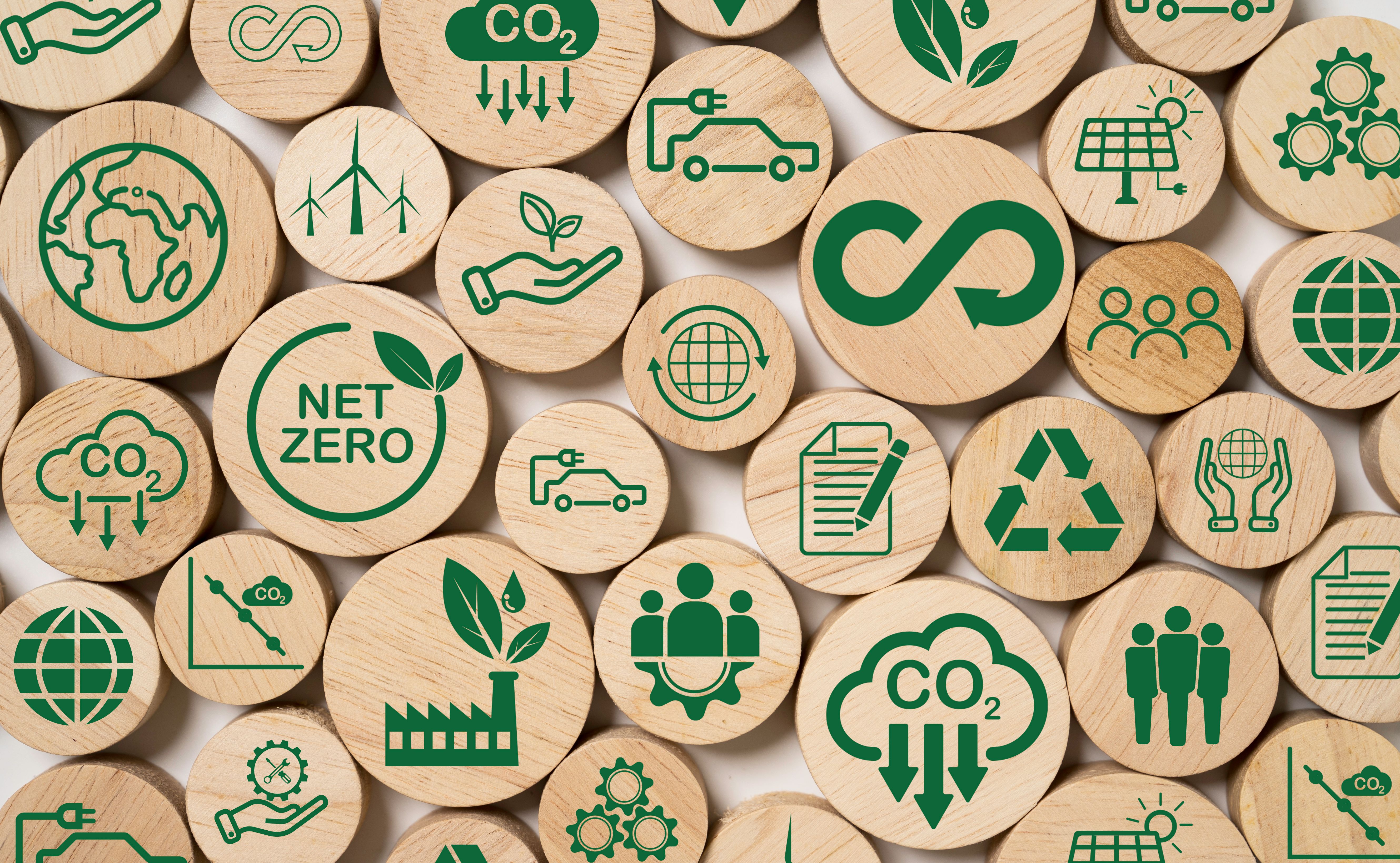 sustainable future