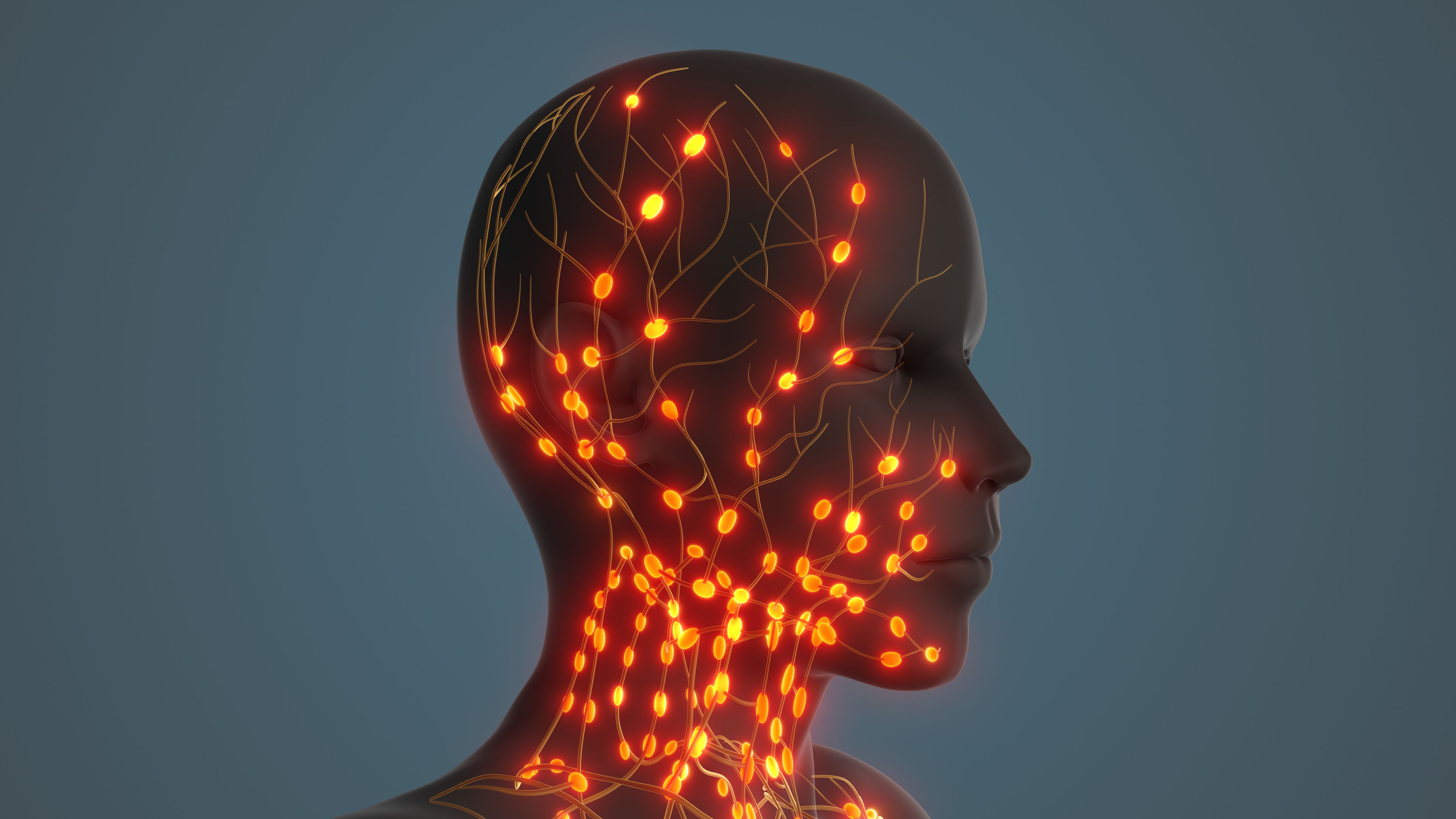 Lymphatic Vessels Regulating Fluid and Immune Response