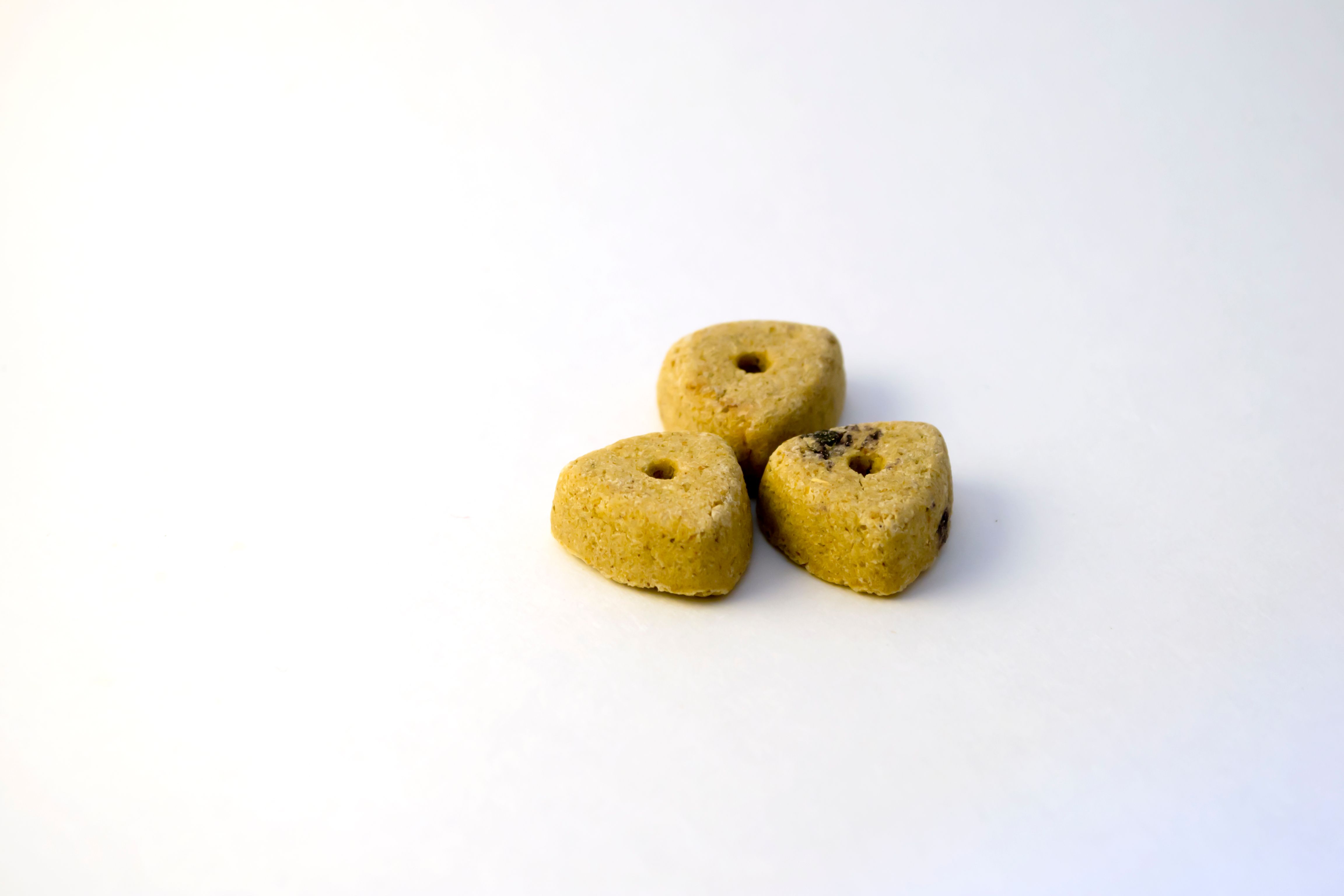 bennett dog training