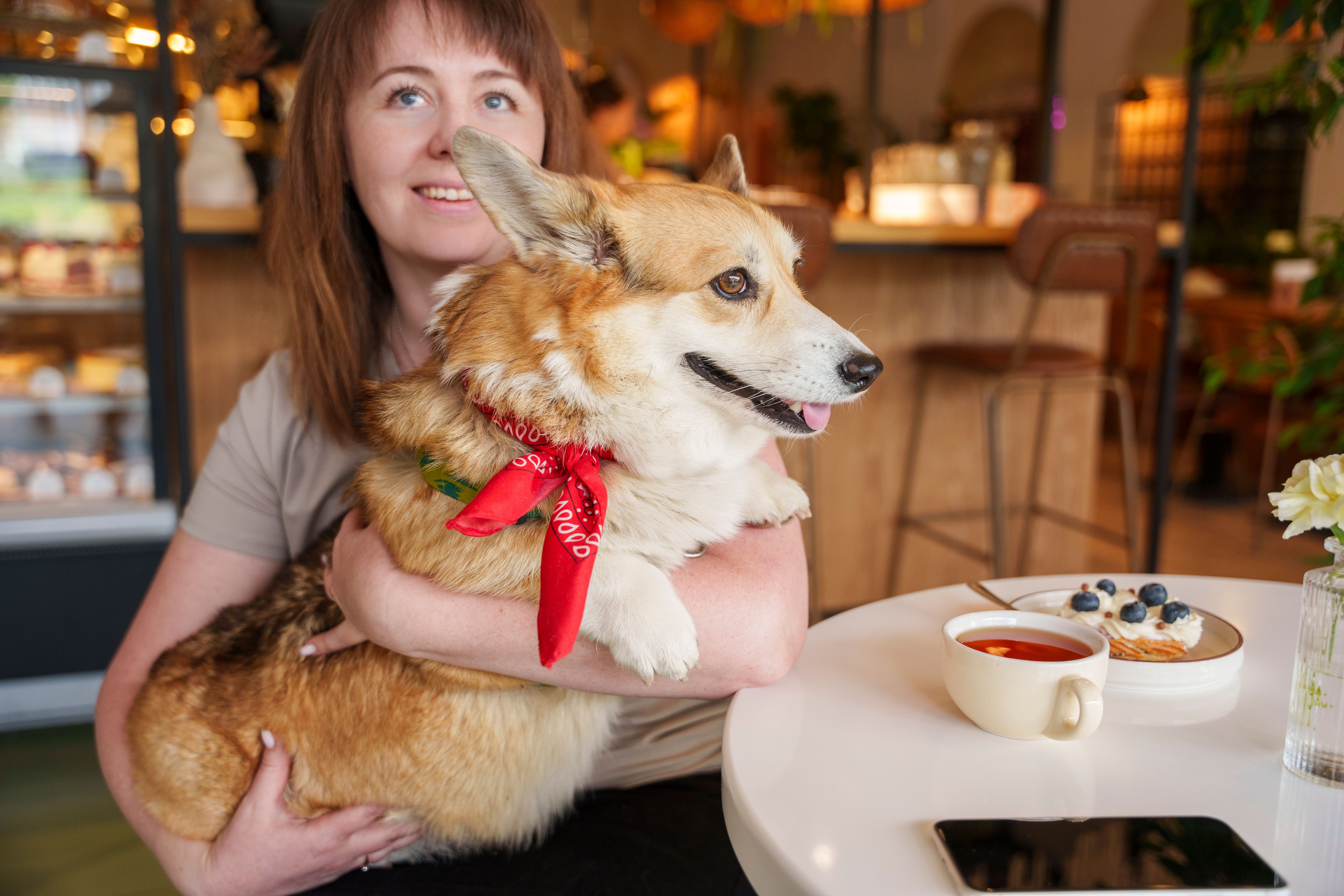 dog cafe