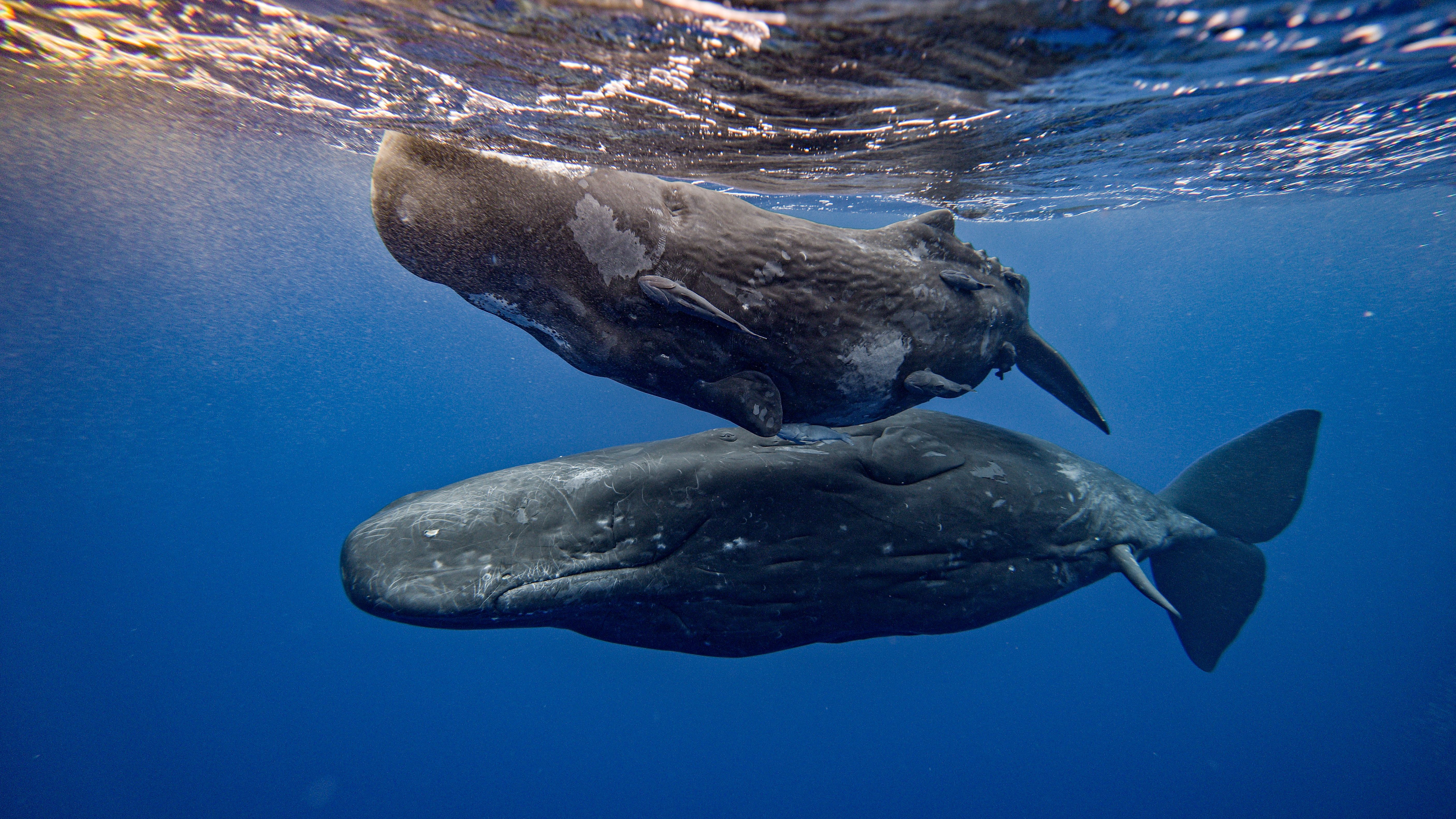 documentary photography