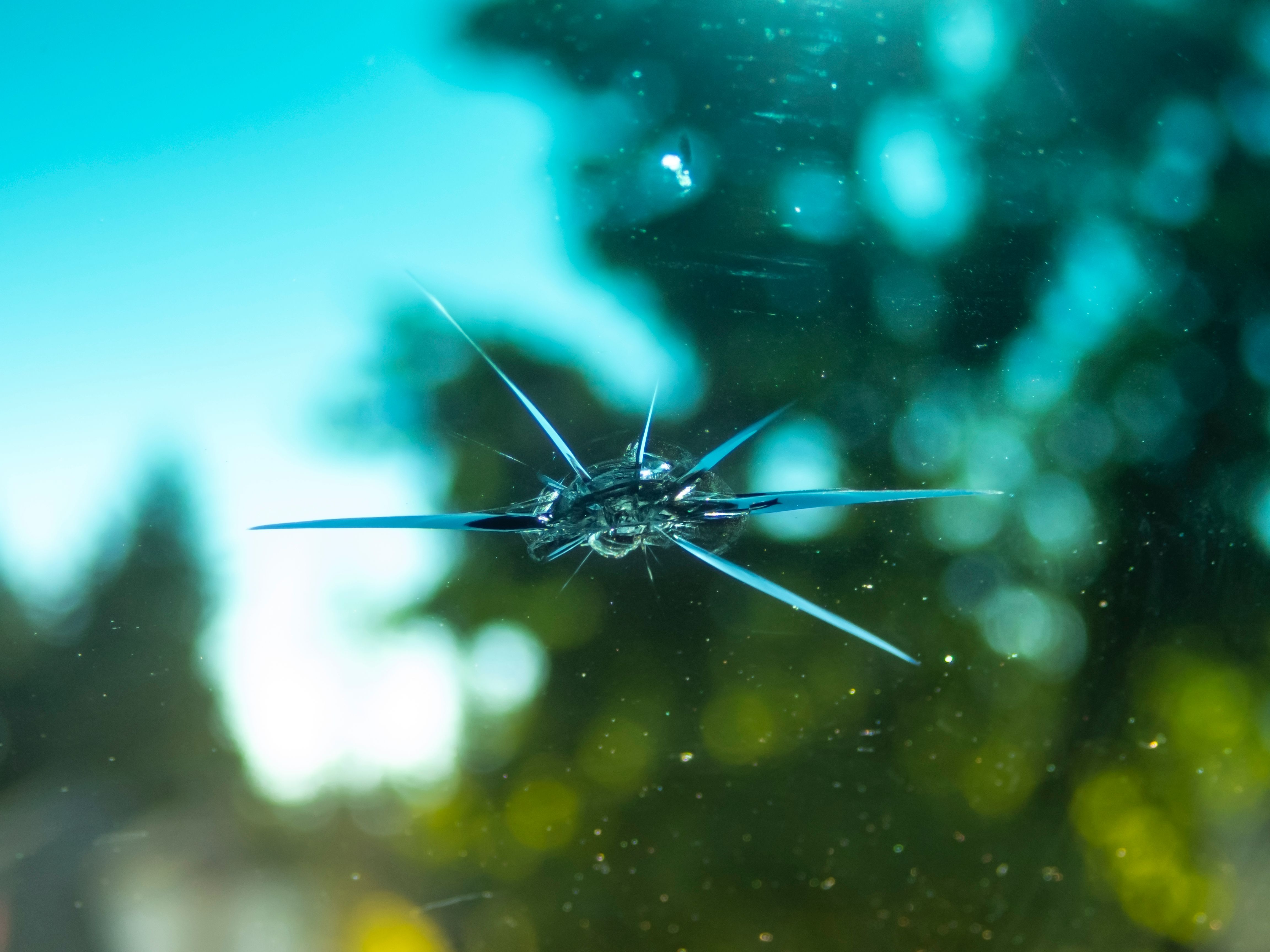 rock chip windshield