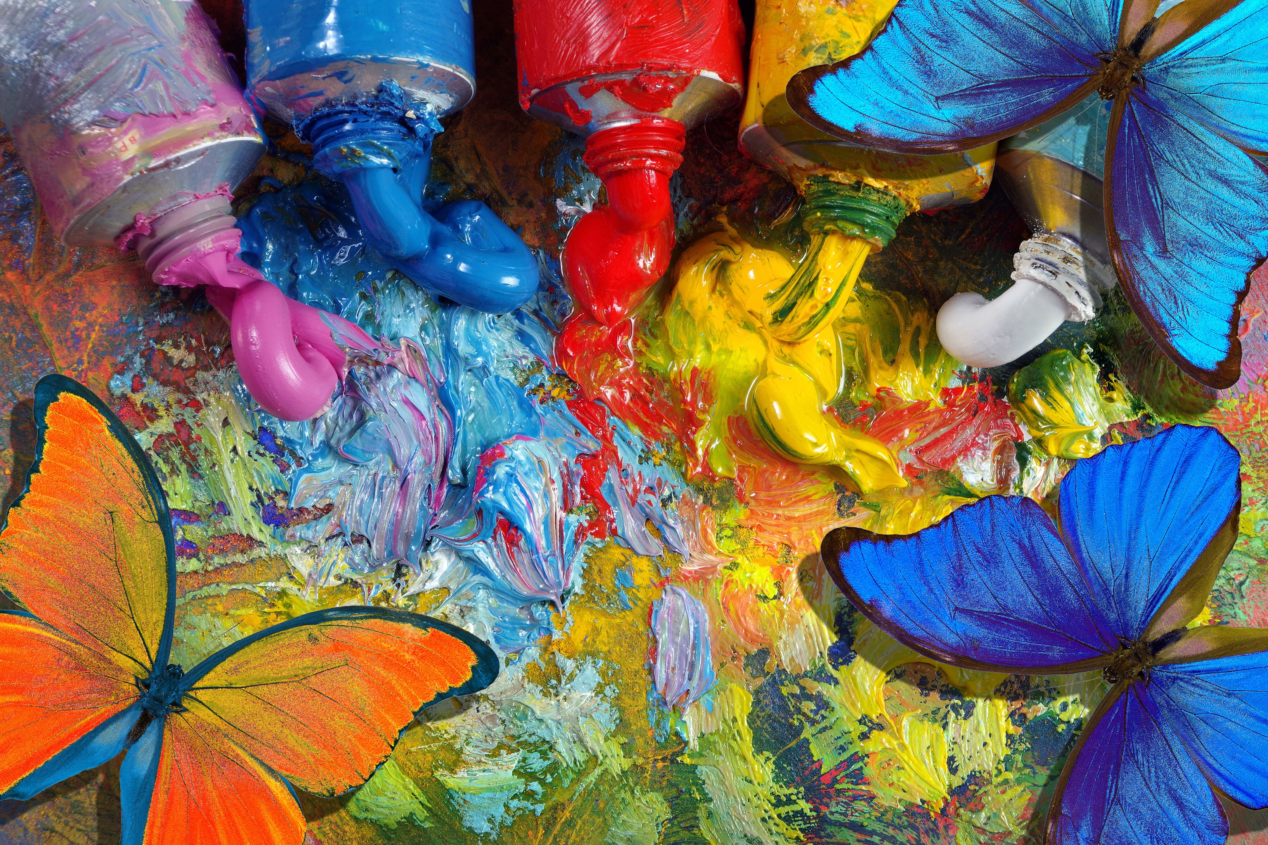 colors of rainbow. color concept. bright tropical morpho butterflies on an artist's palette with tubes. art paints and butterflies colorful background colors of rainbow. color concept. bright tropical morpho butterflies on an artist's palette with tubes. art paints and butterflies colorful background