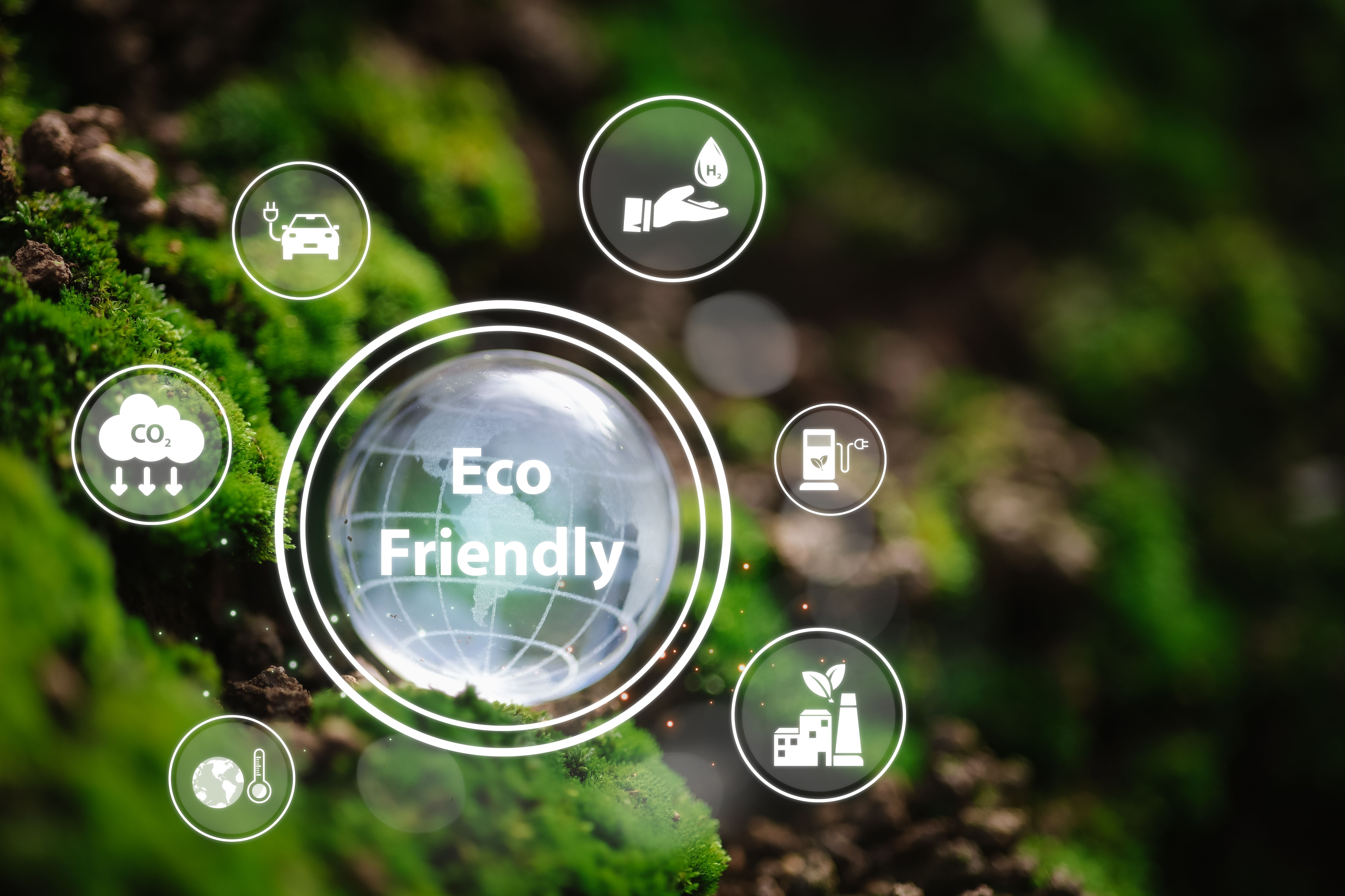 sustainable wildlife practices