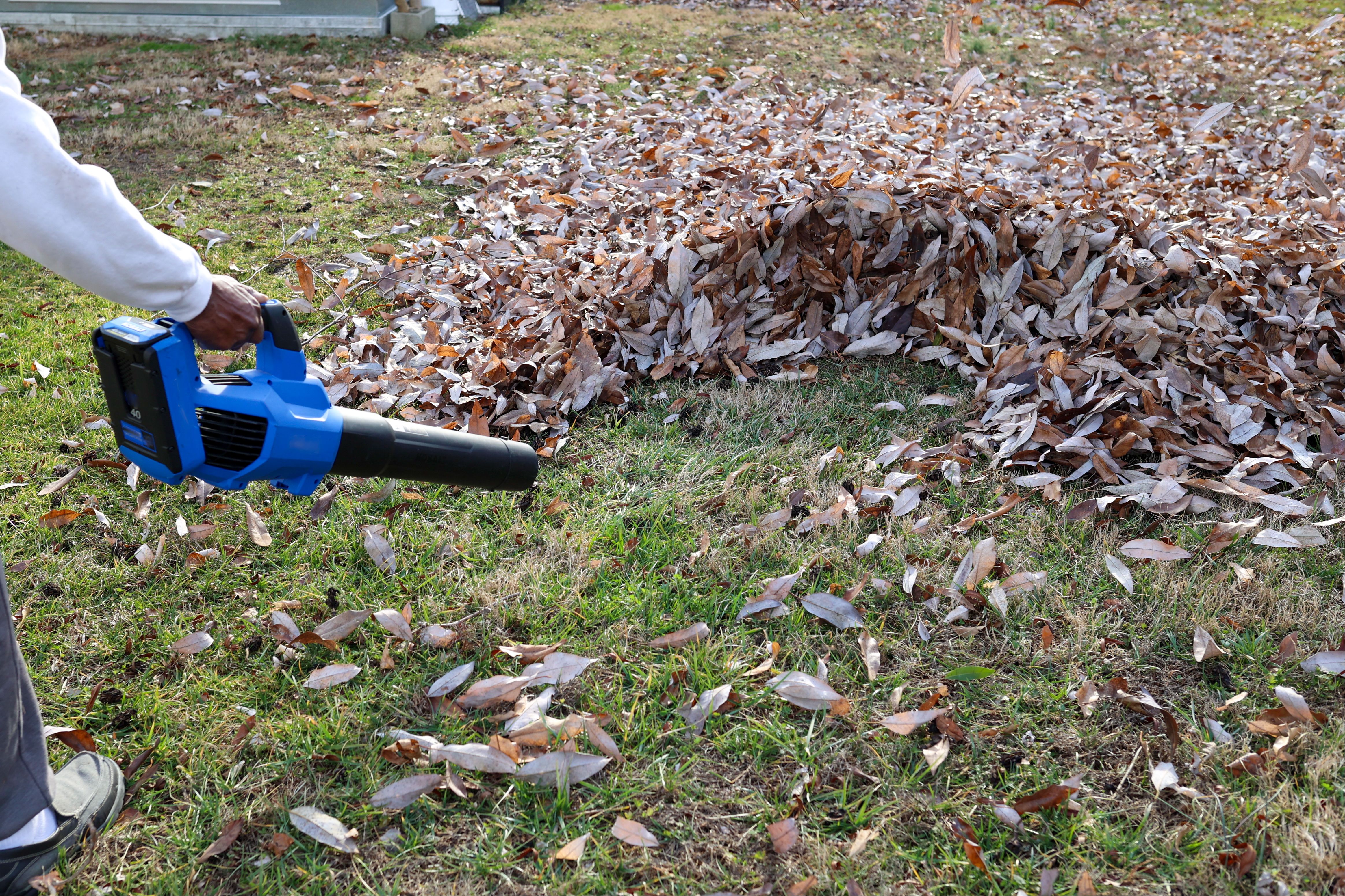 leaf blower
