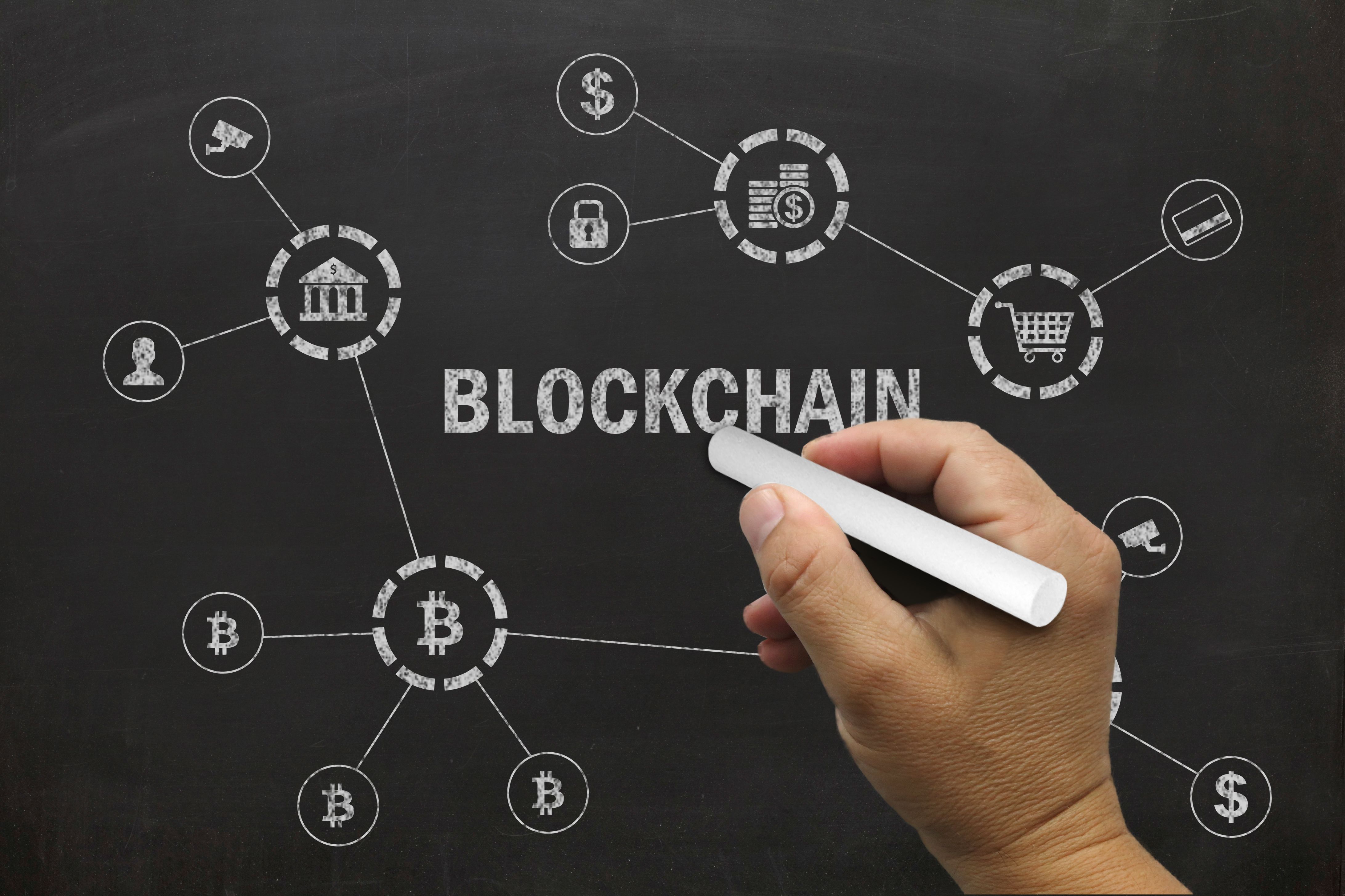 affiliate network options