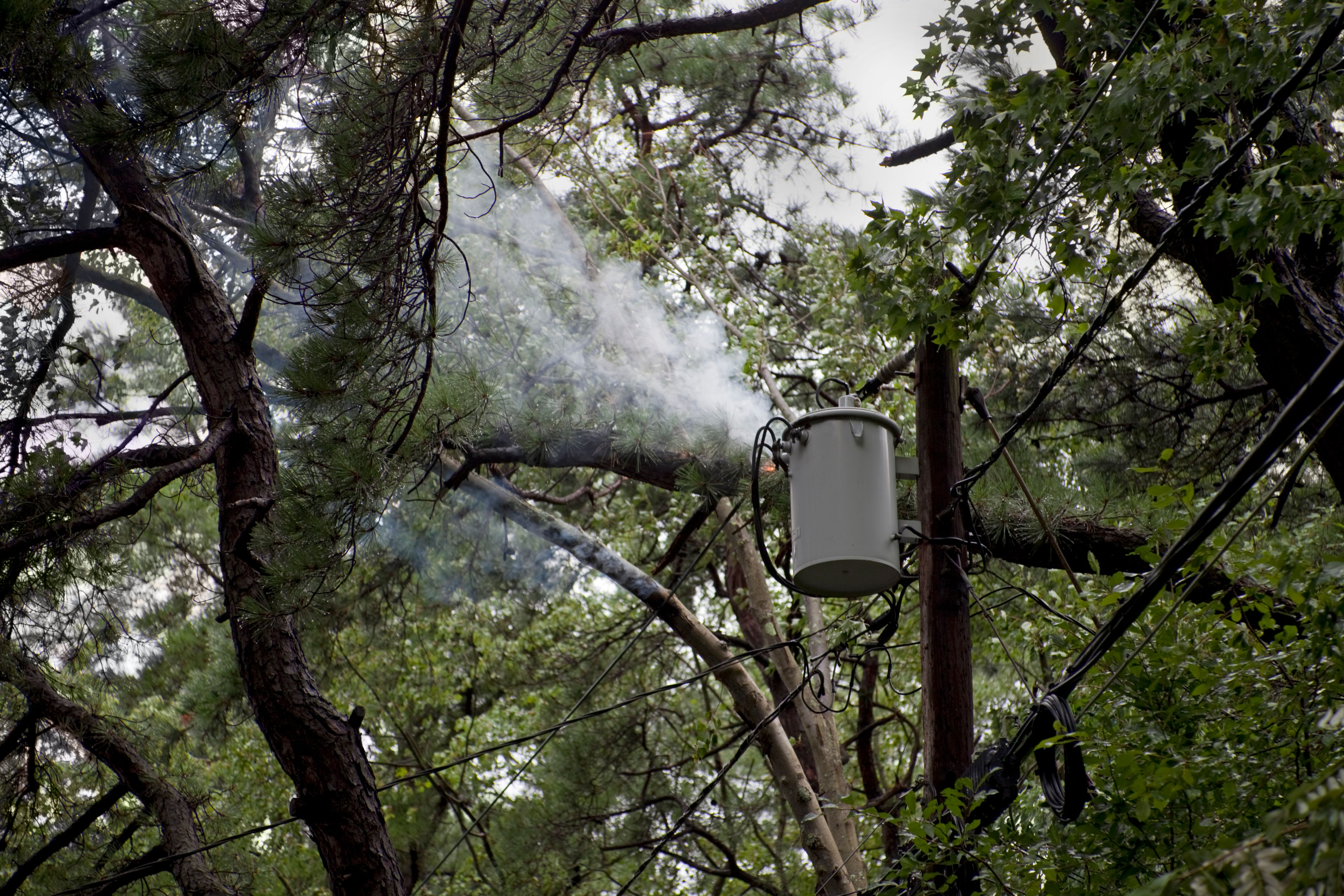 Electrical Wires, Transformer and Smoldering Tree