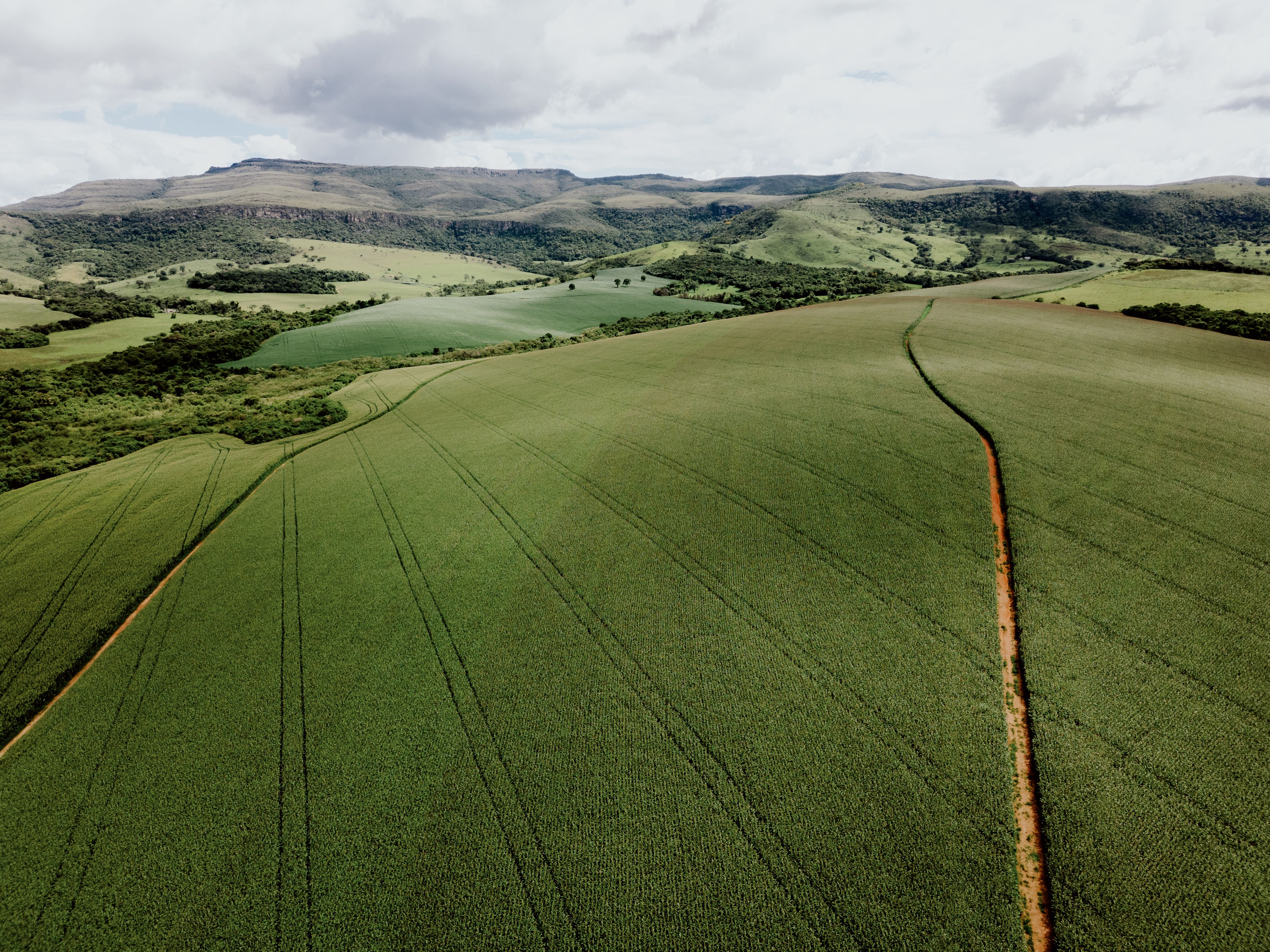 drone in agriculture