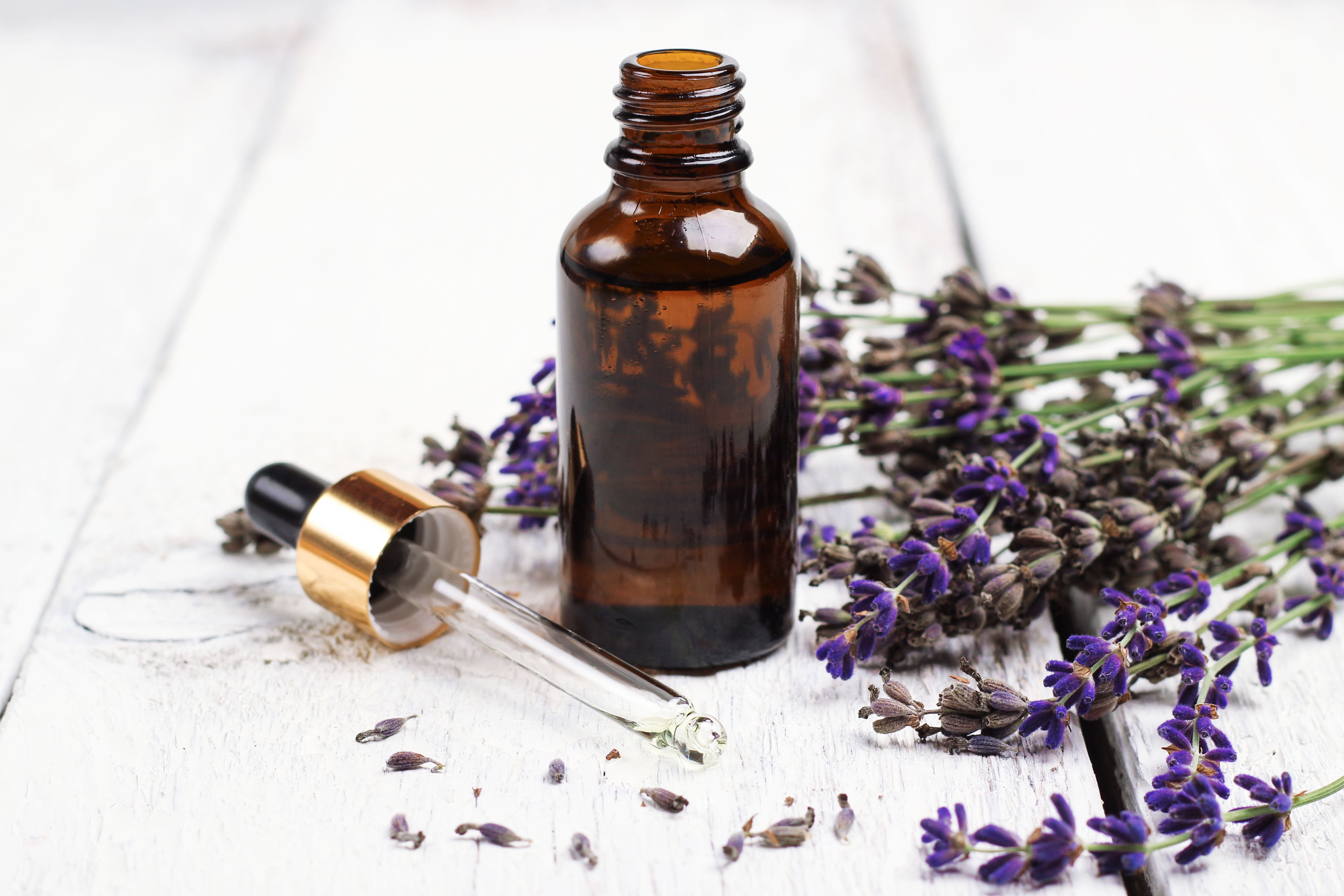 lavender oil