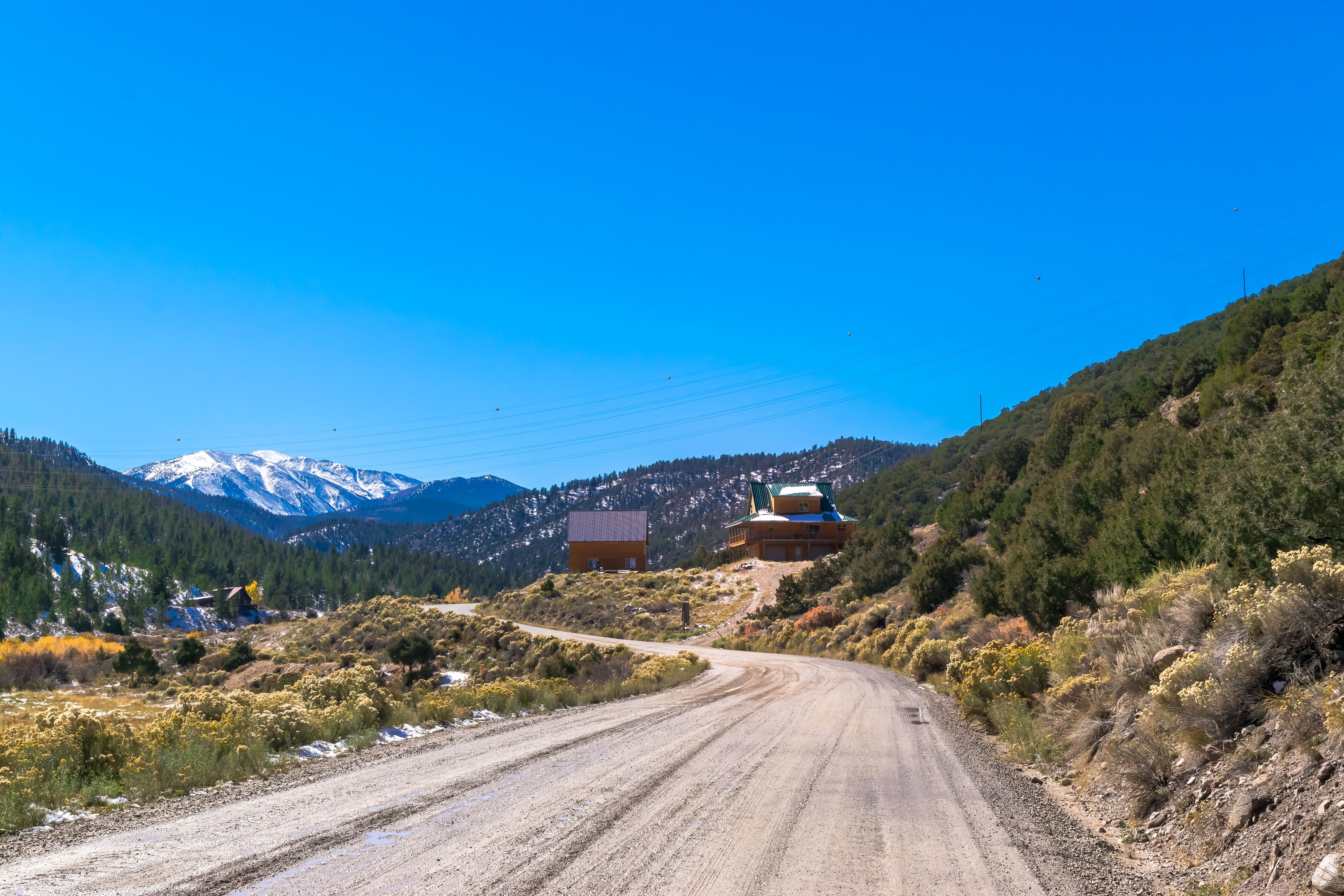 maysville neighborhood