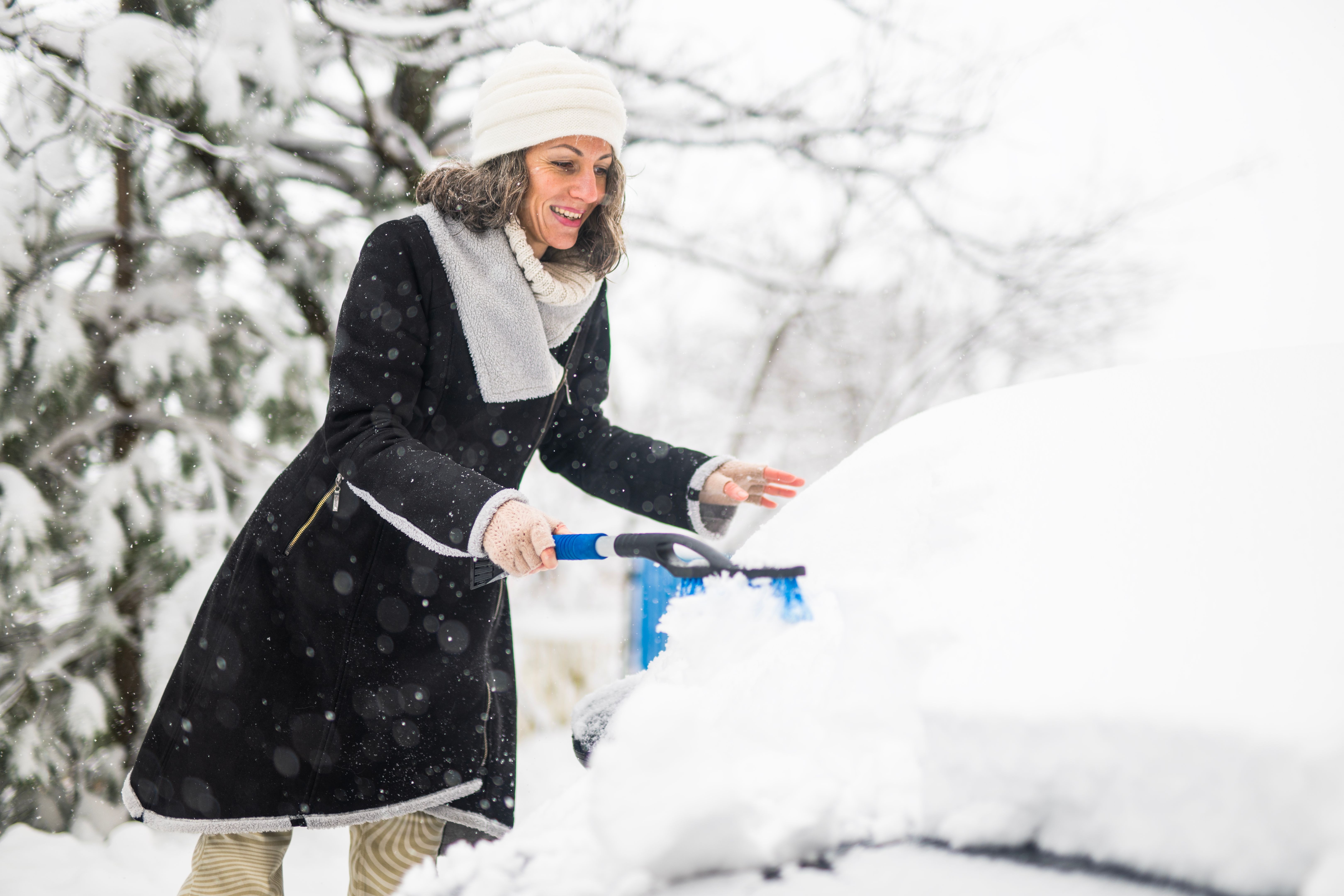 winter car cleaning