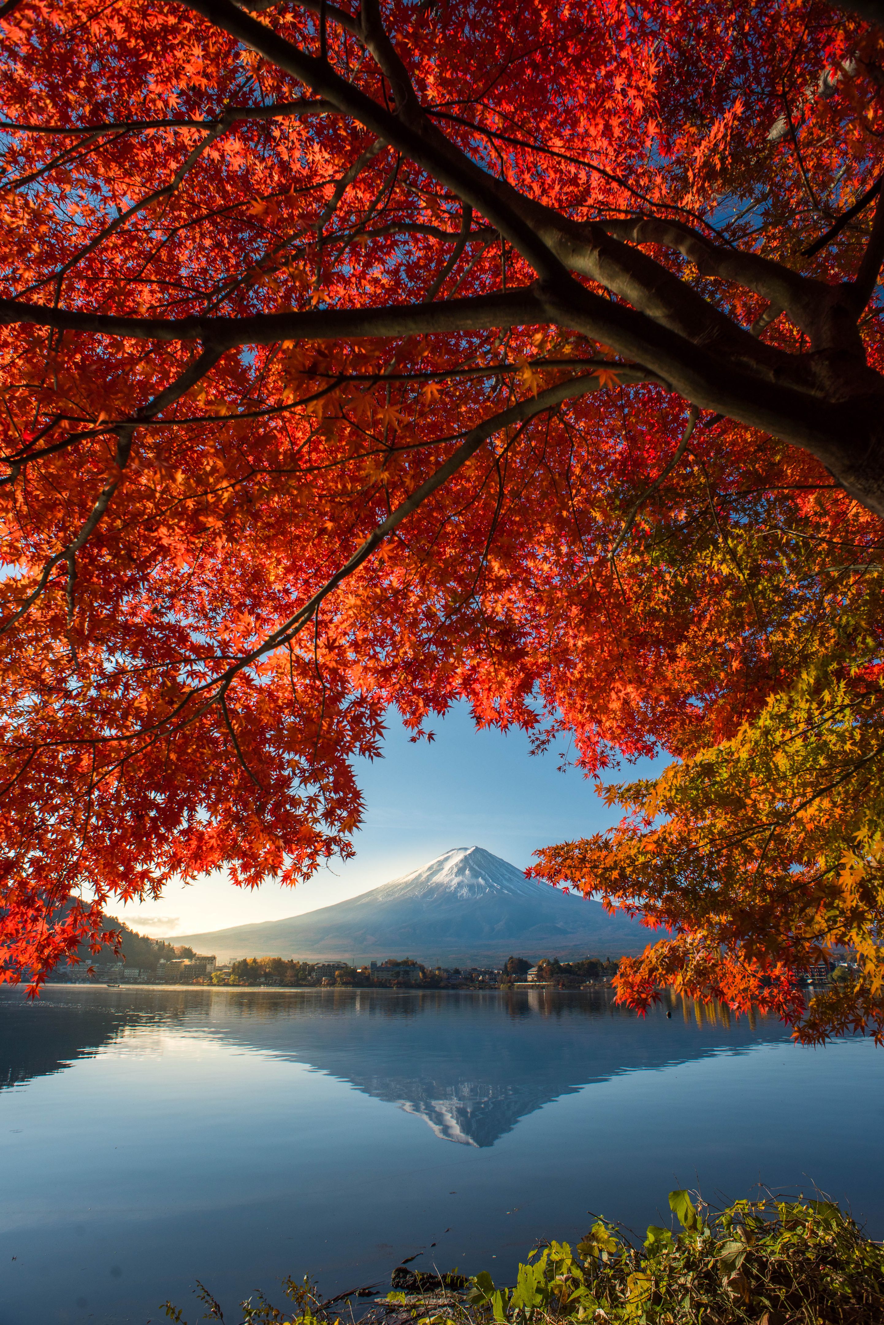 autumn landscape japan