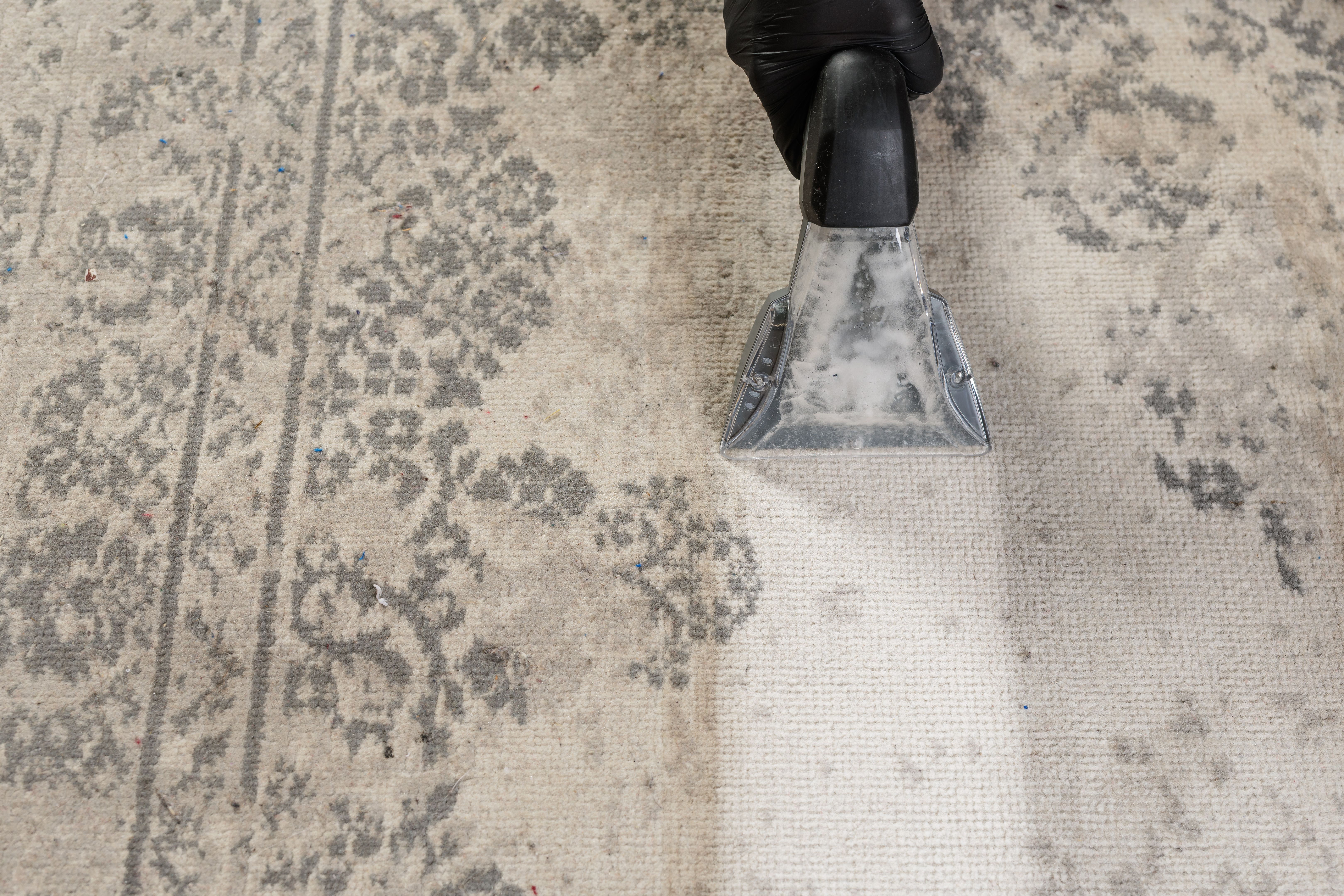 professional carpet cleaning