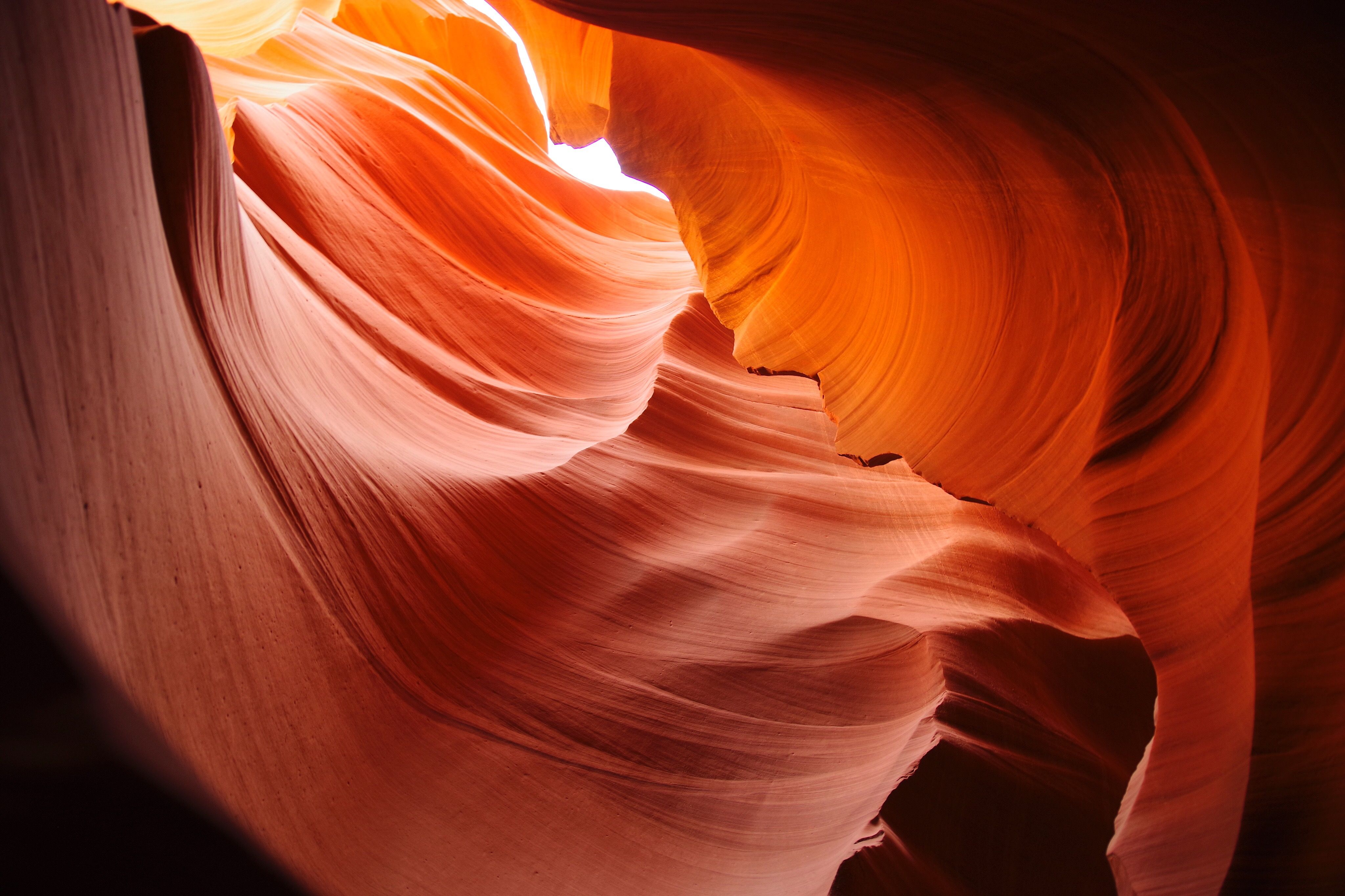 antelope landscape