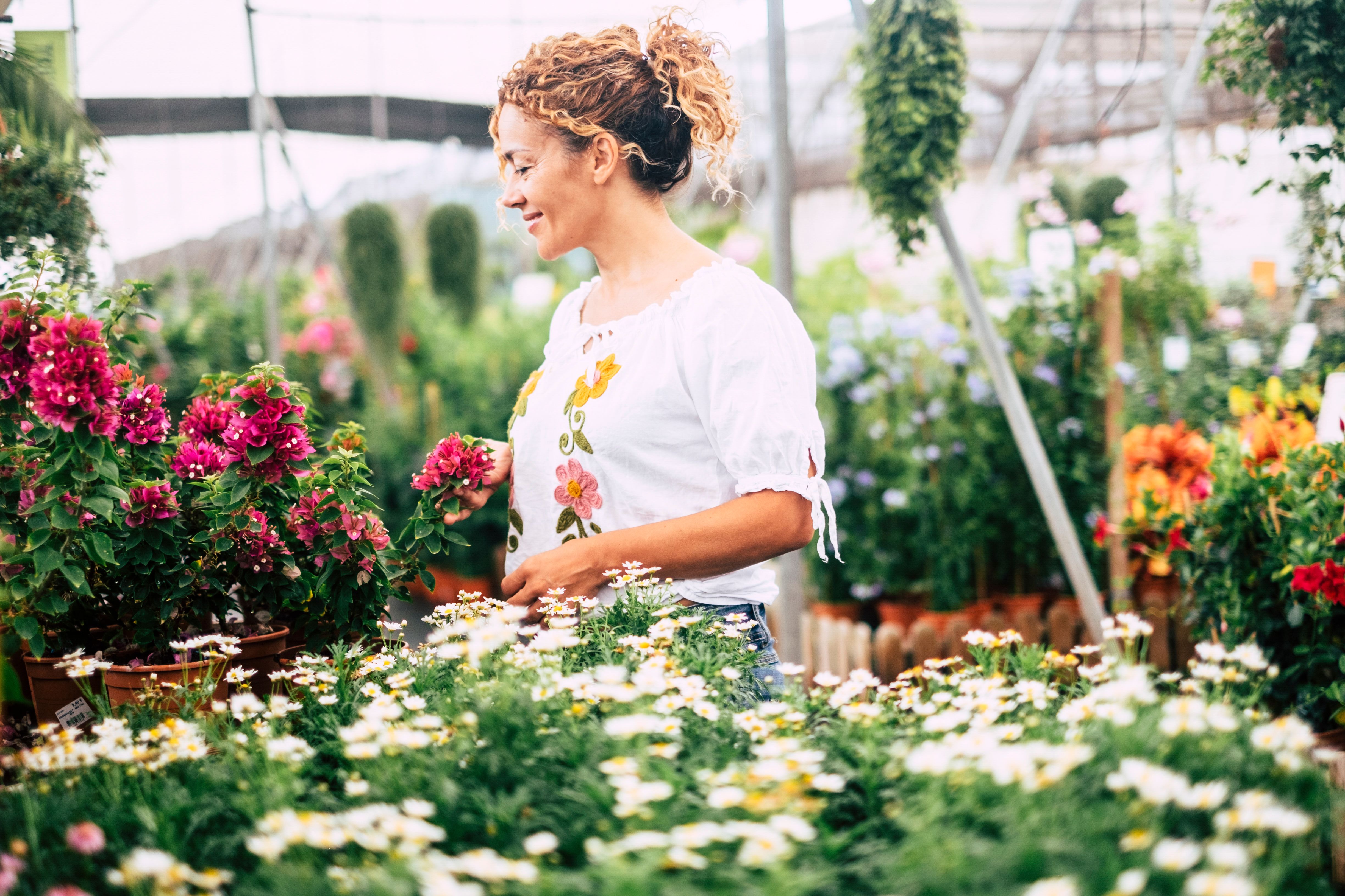 The young woman in a greenhouse with many seedlings admires the growth of white flowers like daisies. Concept of care and passion for nature. Shopping and business nature related and easy people lifestyle