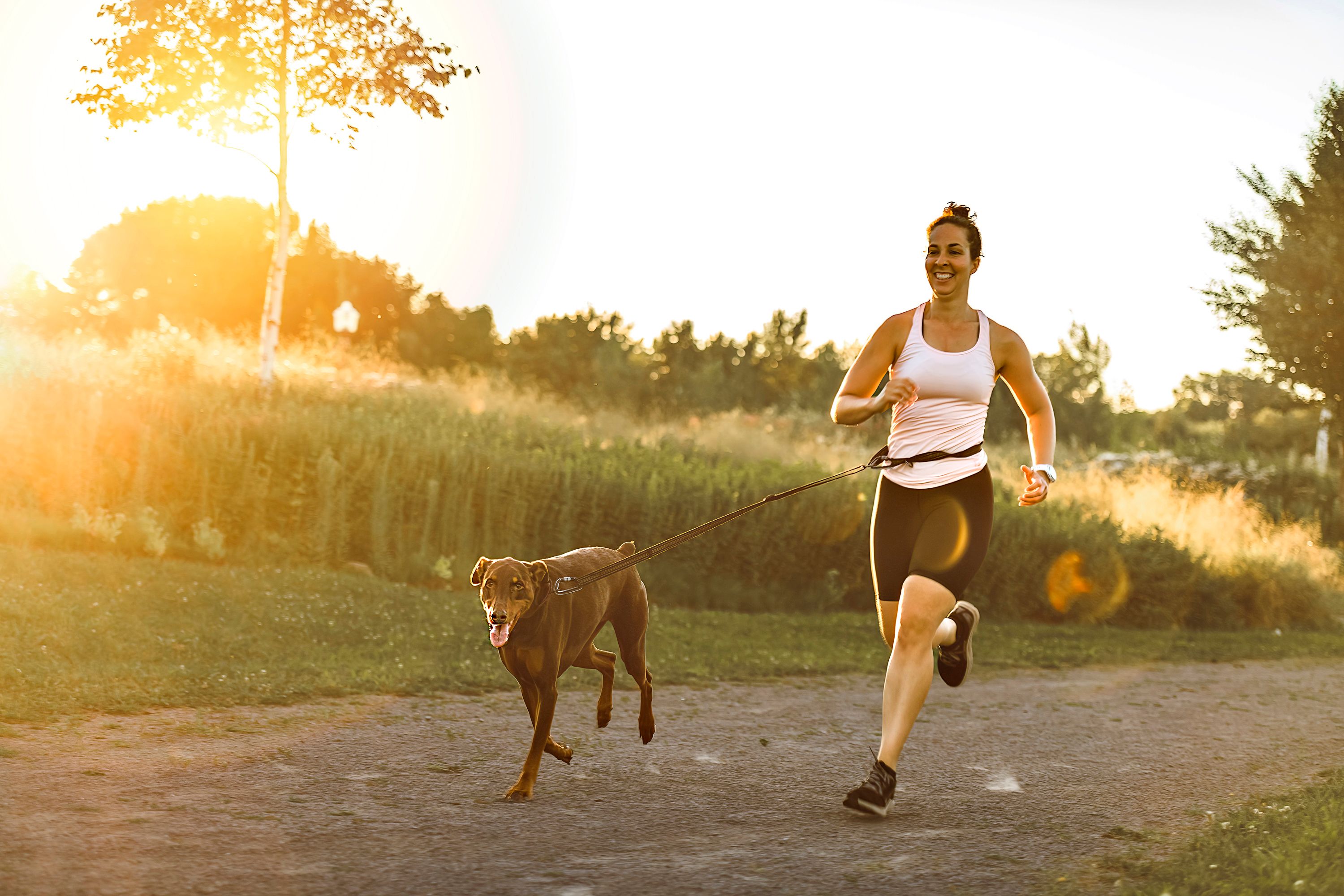 runner and dog on field under golden sunset sky in evening time.