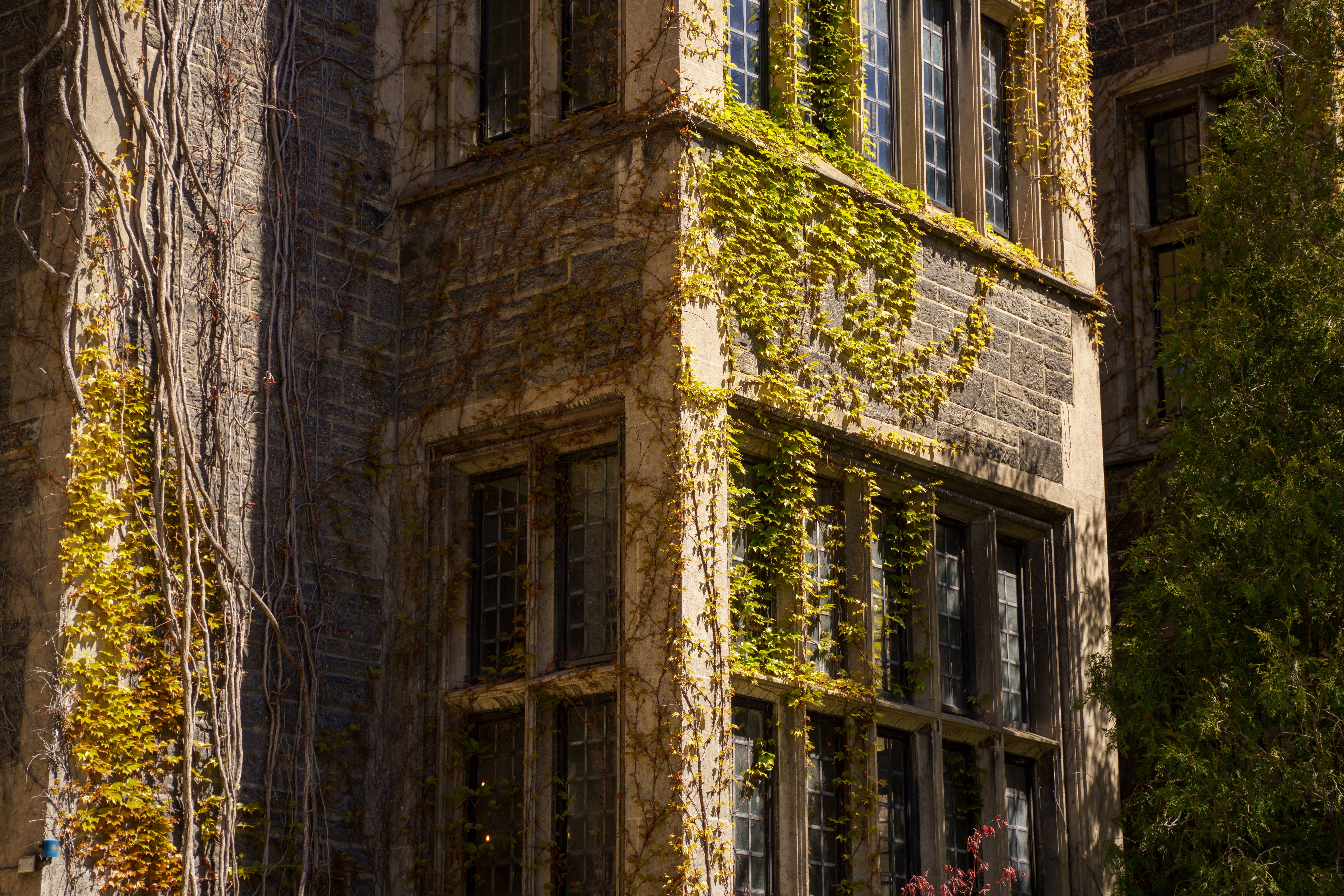 university campus