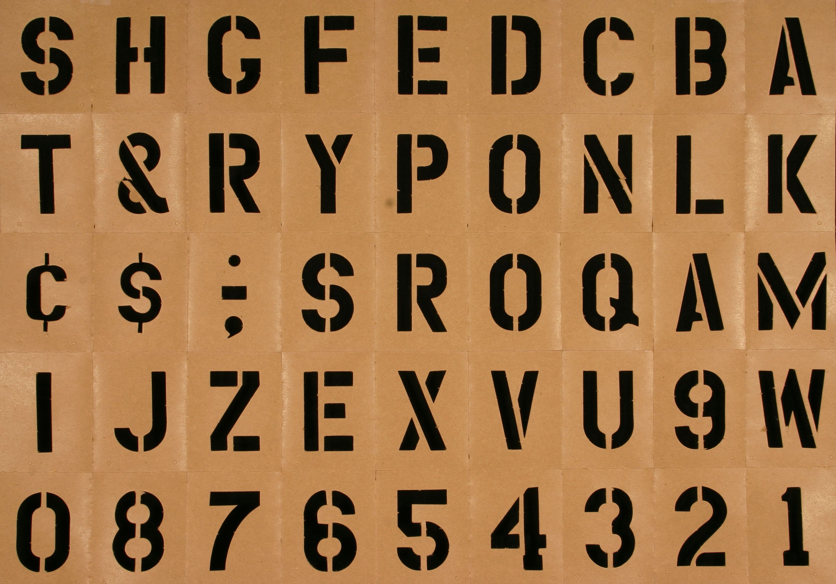 brand color typography