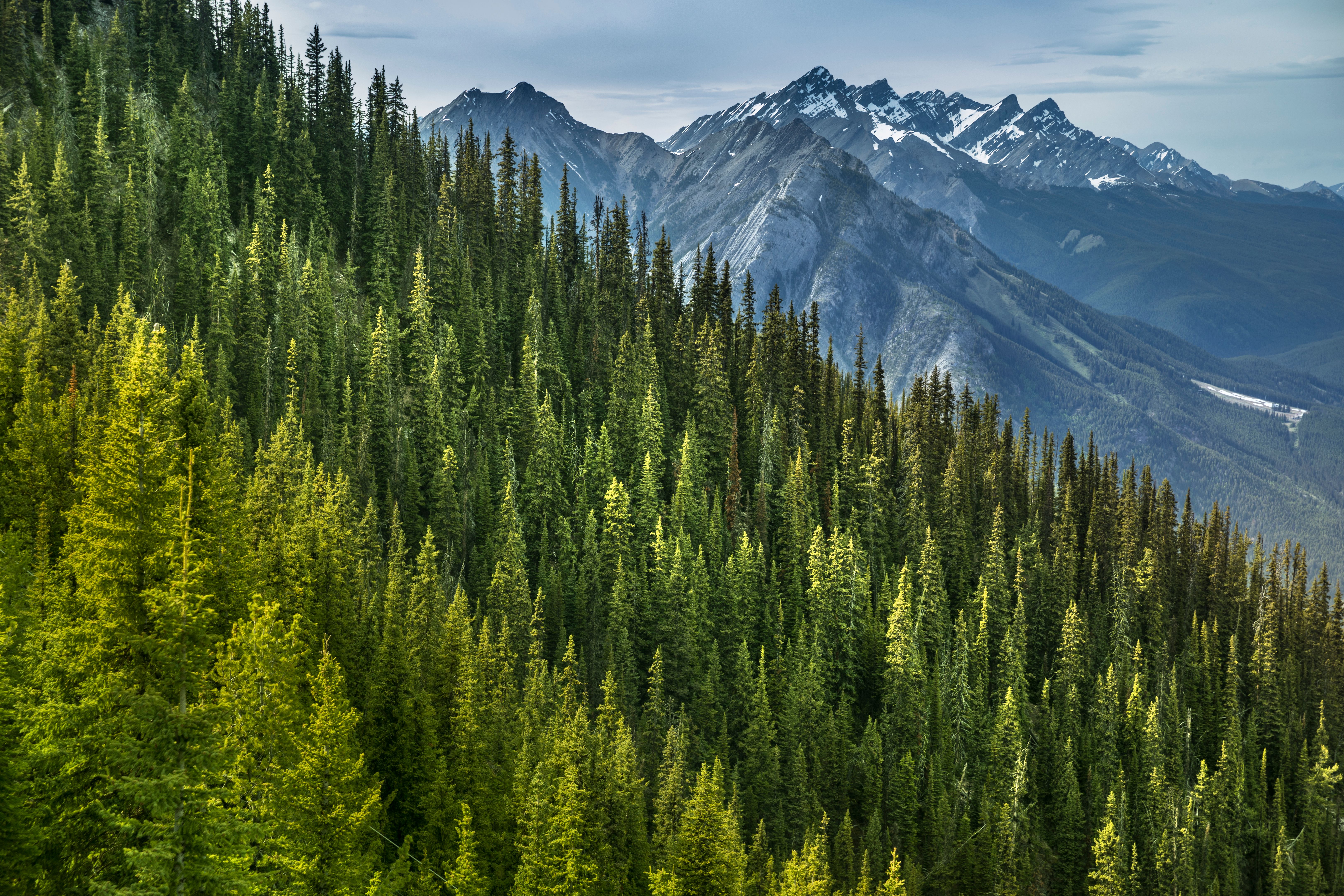 Mountain view from Sulphur Mountain Banff Alberta Canada