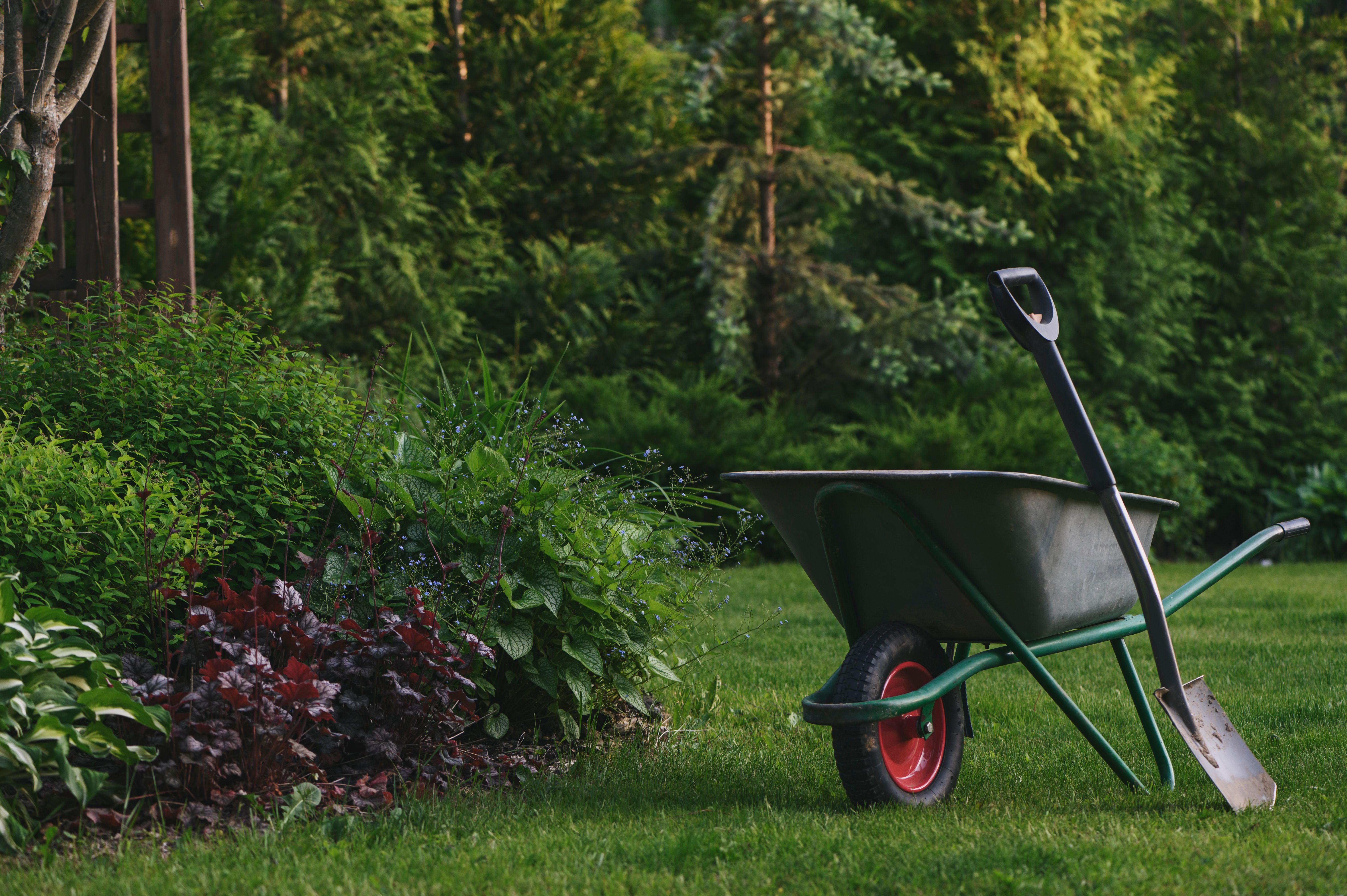 yard cleanup