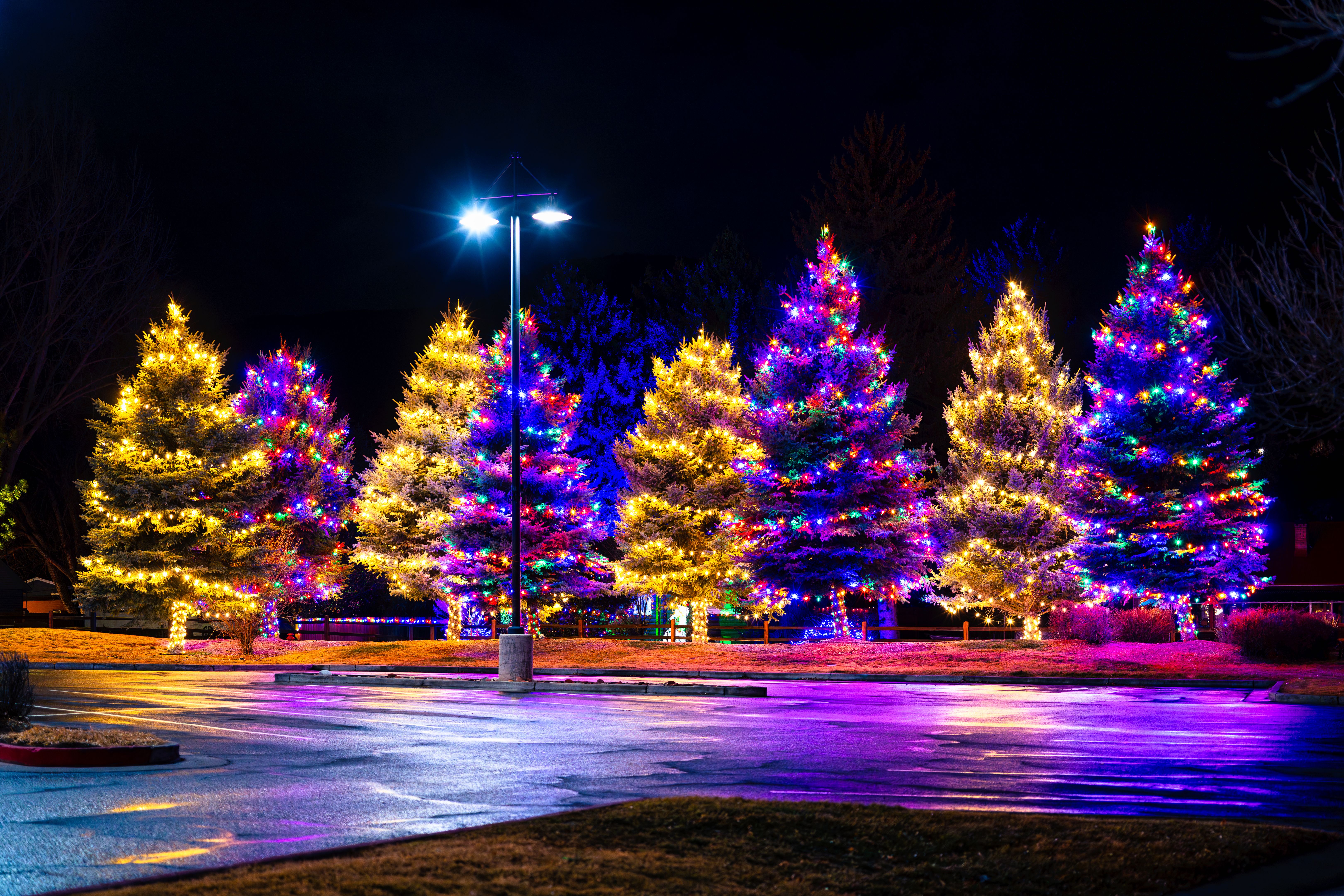 professional holiday lighting