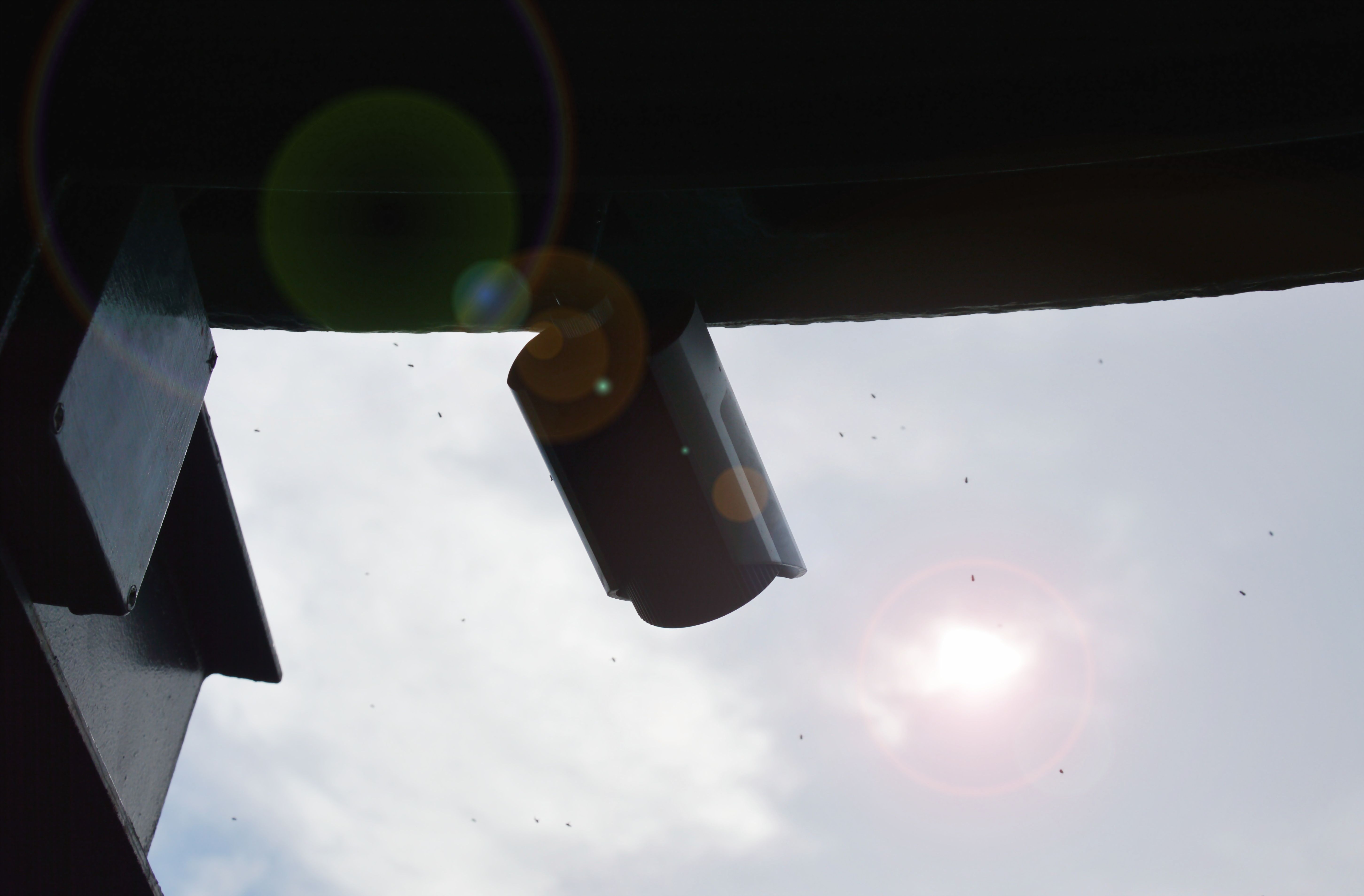 CCTV hanging from ceiling with insect swarm