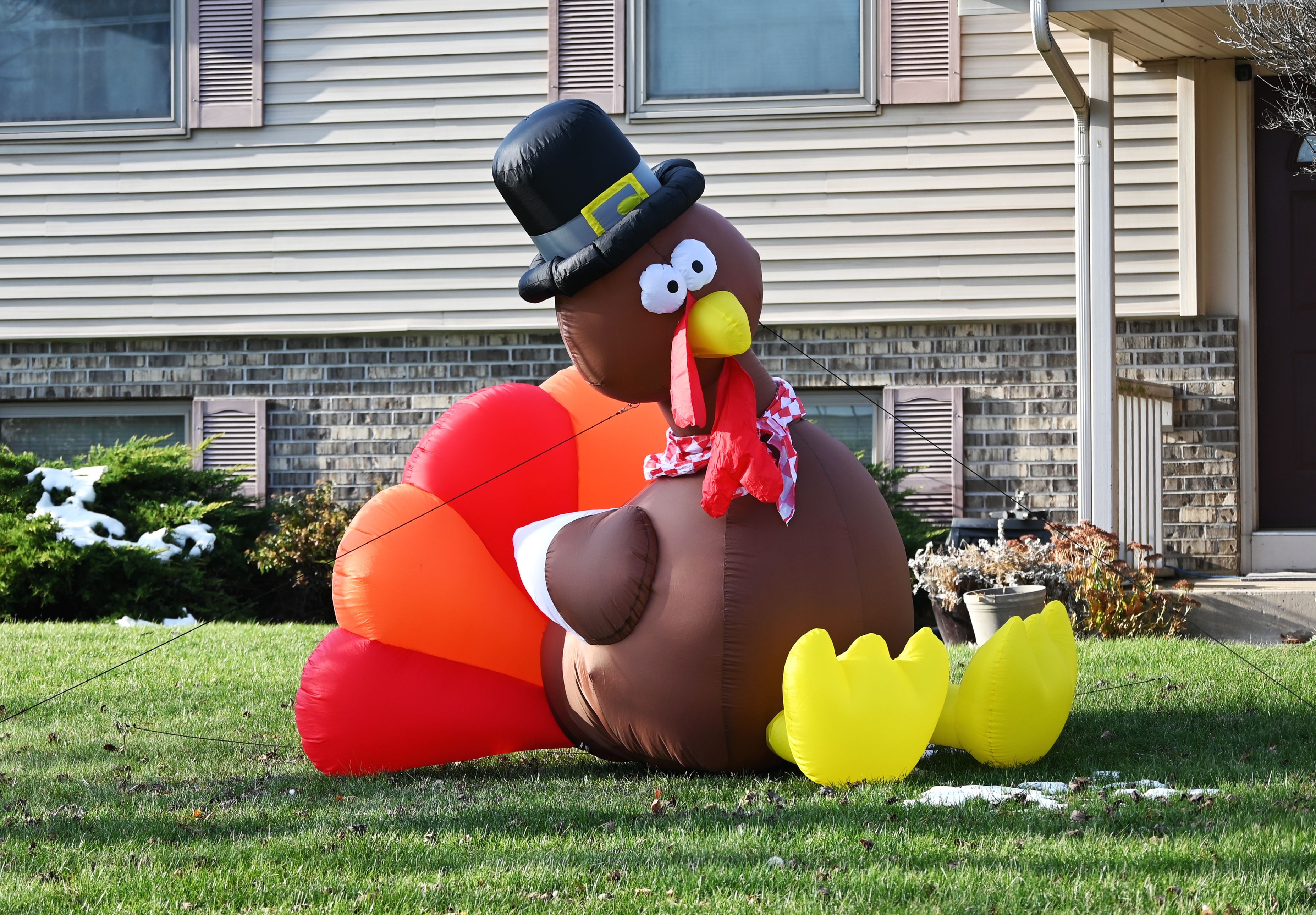 thanksgiving balloons