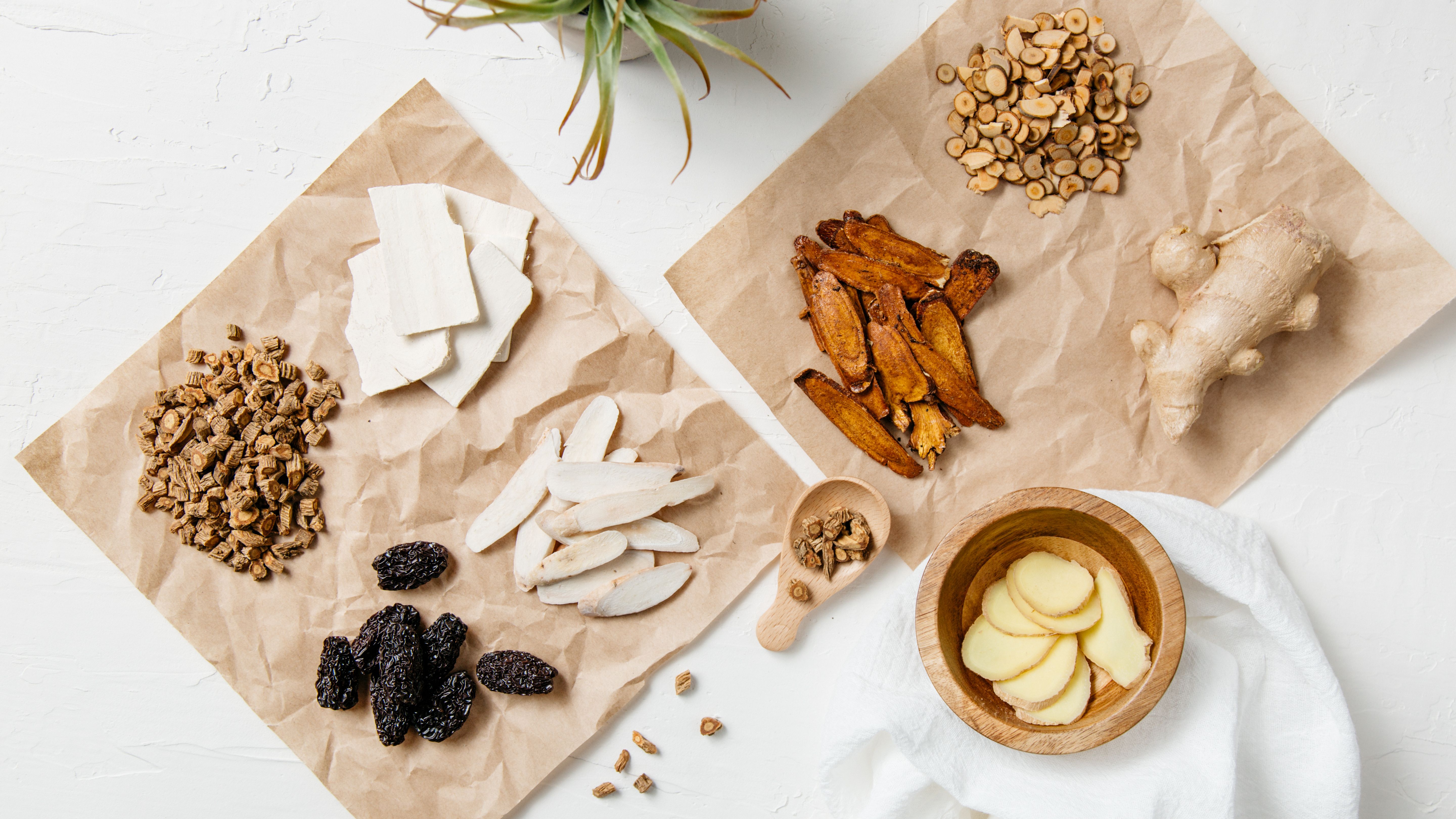 traditional chinese medicine