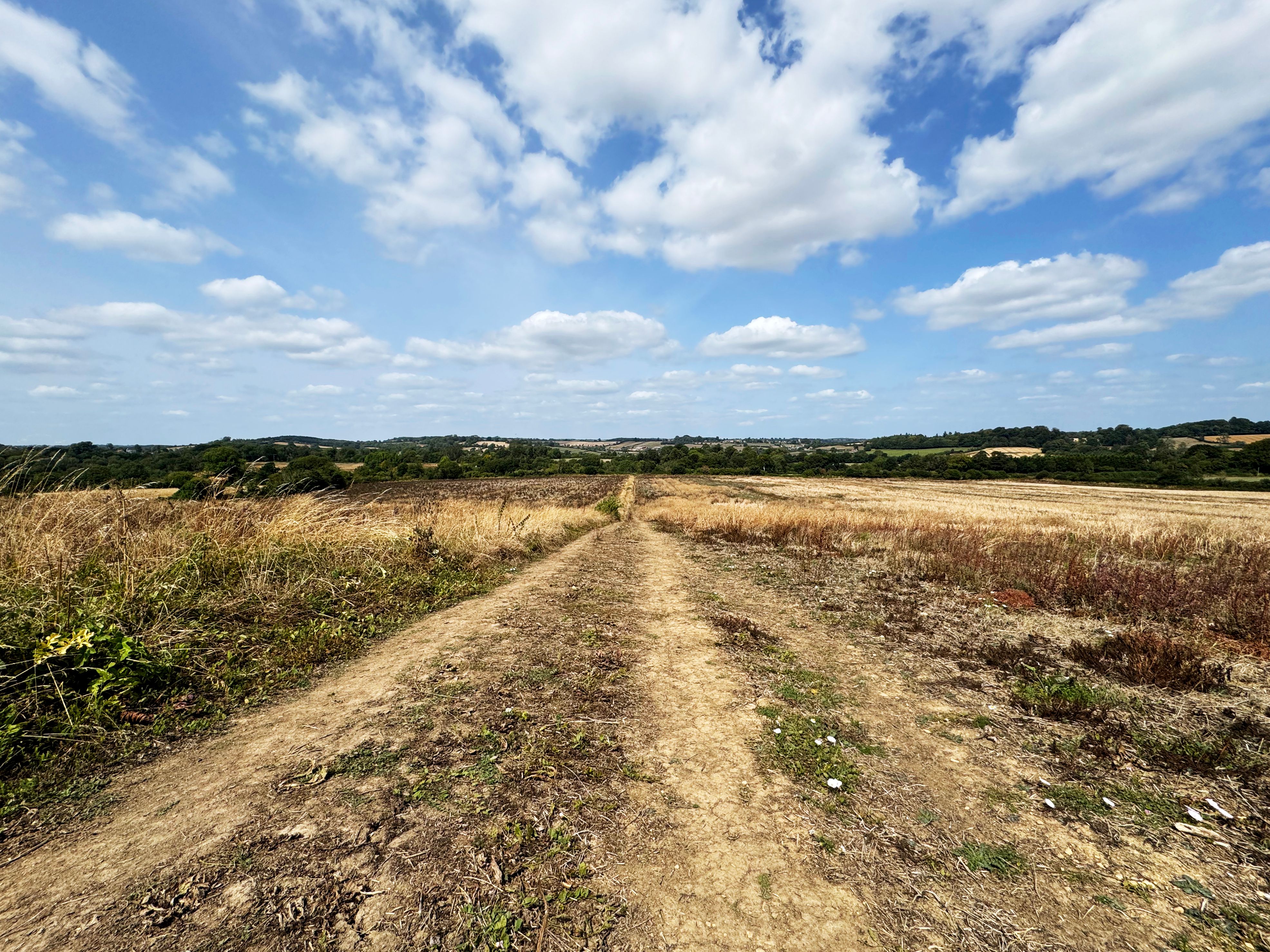 Track through fields Track through fields